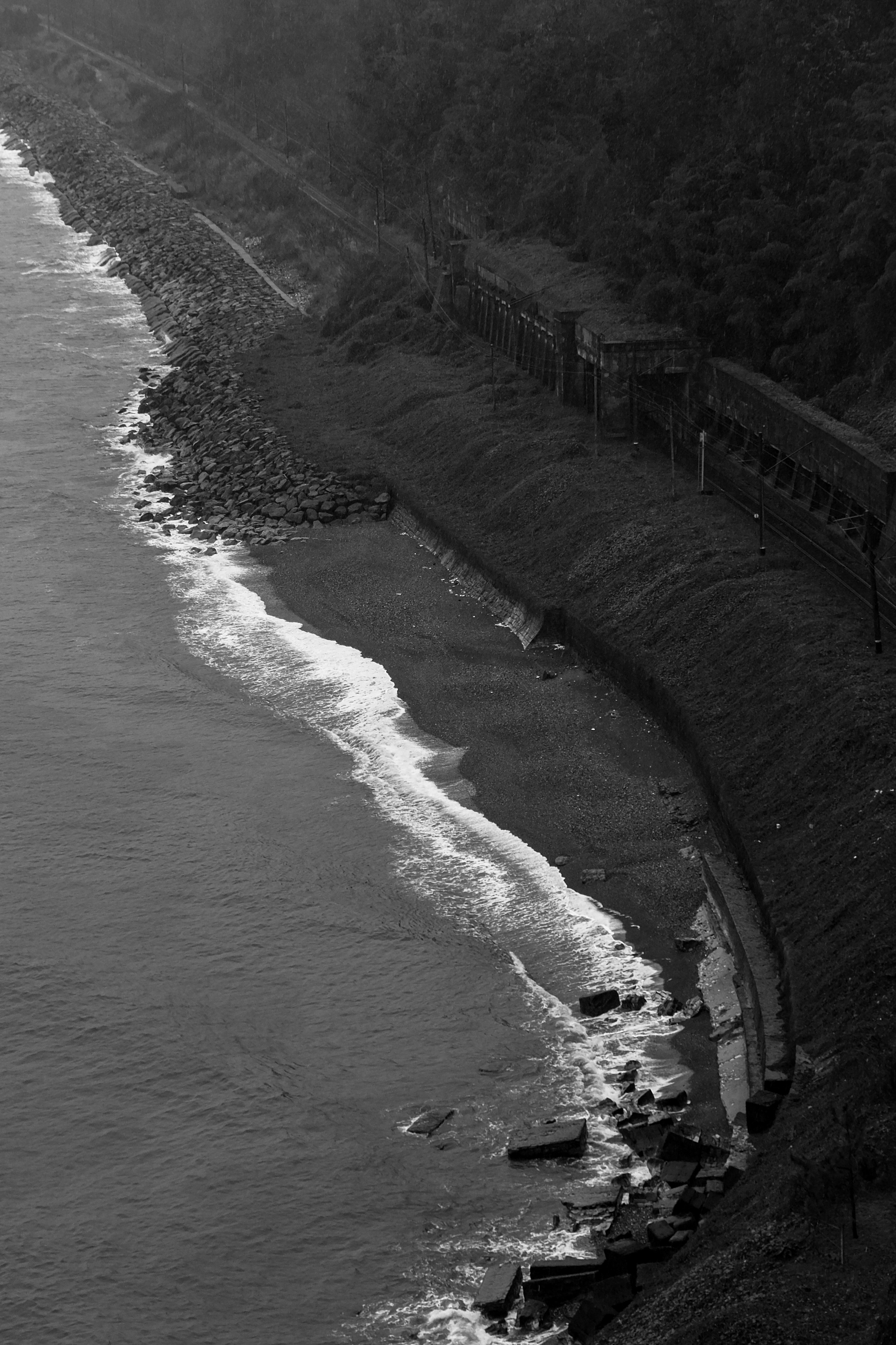 a black and white photo of a beach and a train