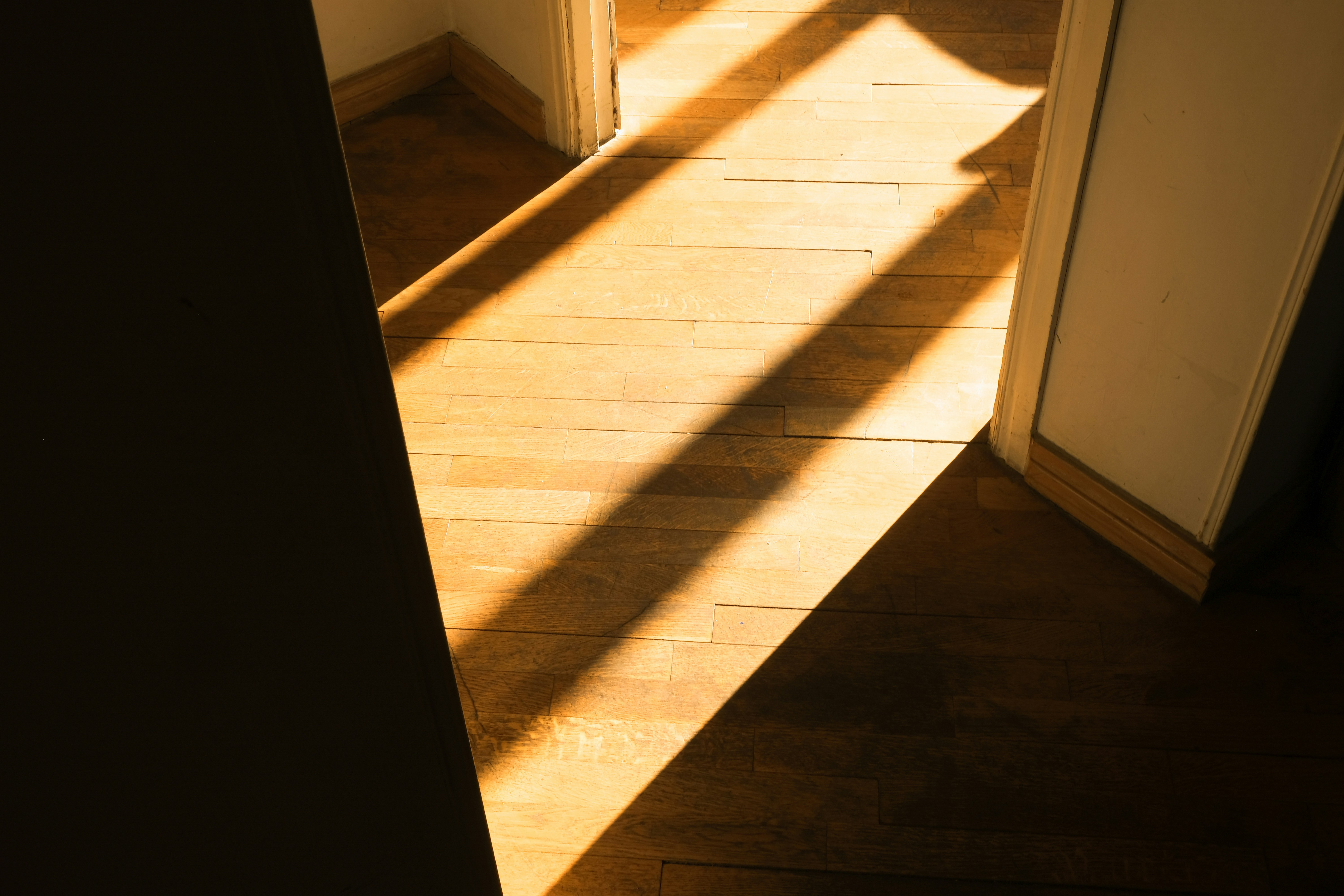 Photo by paulschneider