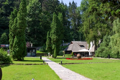 A quaint house with a wooden roof nestled in a lush green garden. Tall trees surround the area, and a pathway leads to the house. There are outdoor tables with umbrellas and a small circular garden with red flowers.