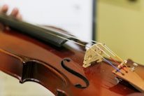 A close-up view of a string instrument, focusing on the bridge and strings. The instrument's wooden body has a rich brown finish, with vibrant strings in red, yellow, blue, and white.