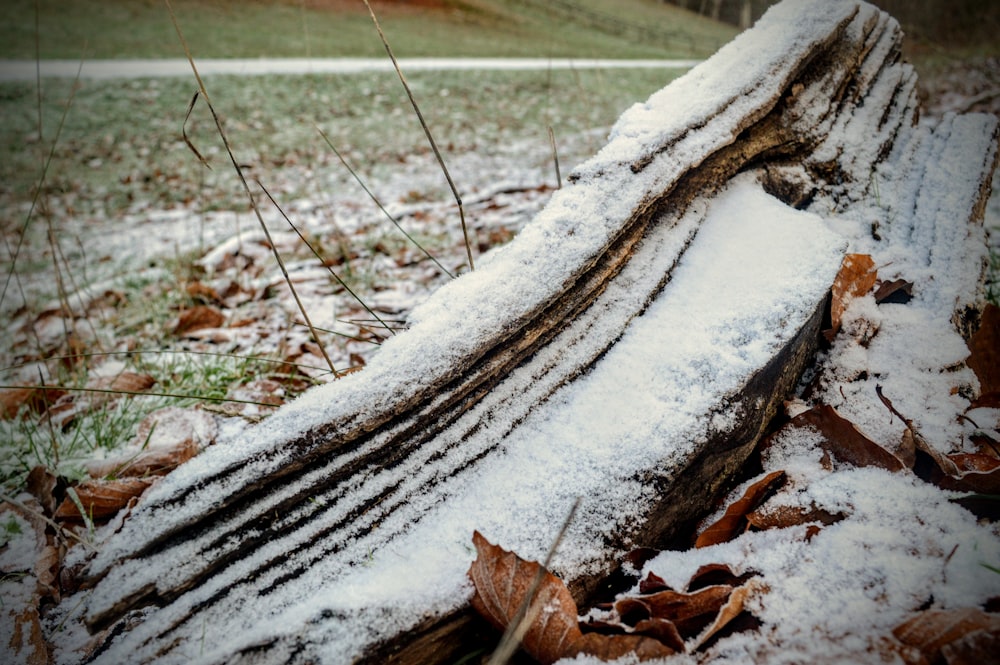 a snow covered tree trunk in a field