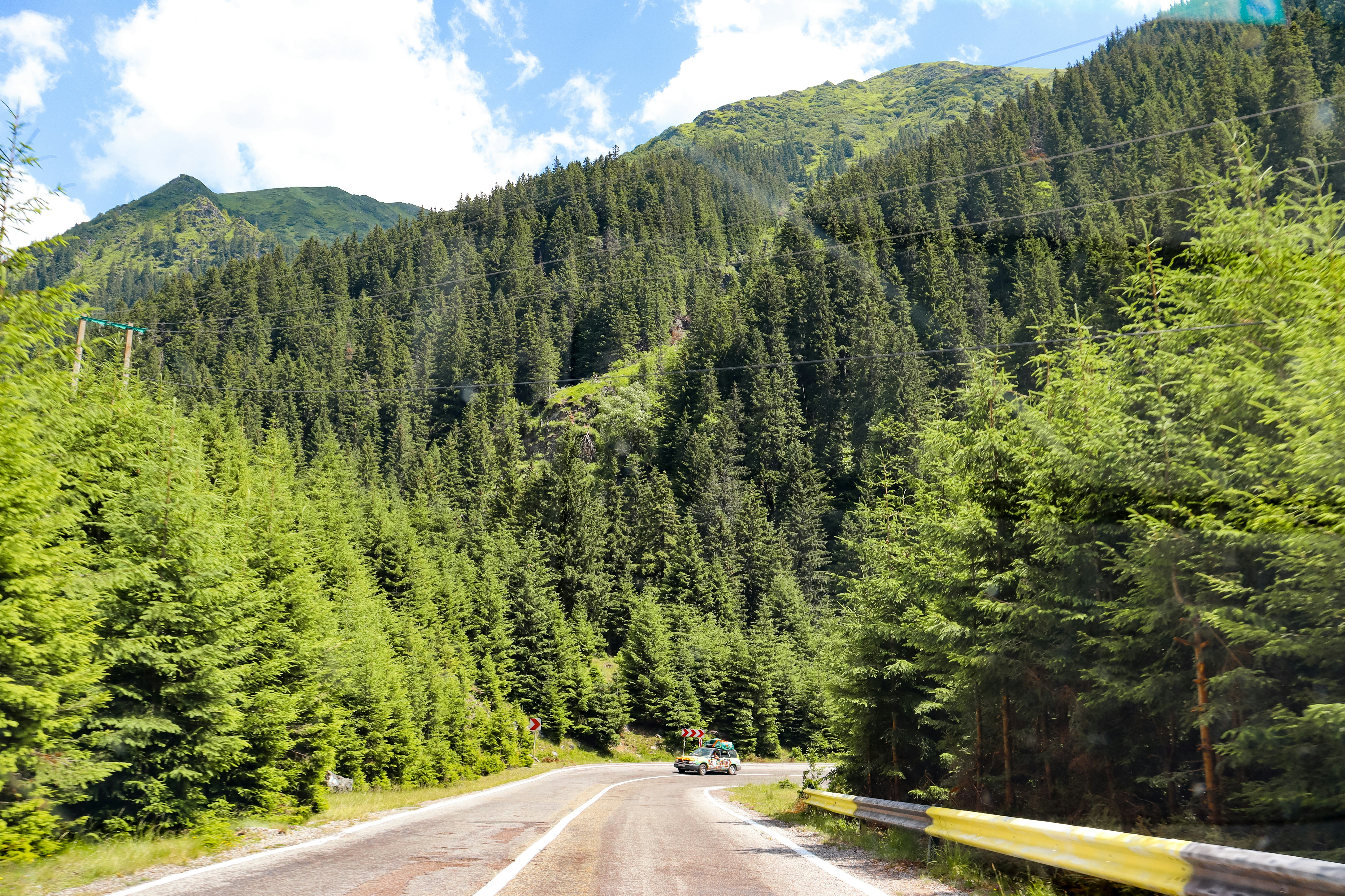 a car driving down a road next to a lush green forest