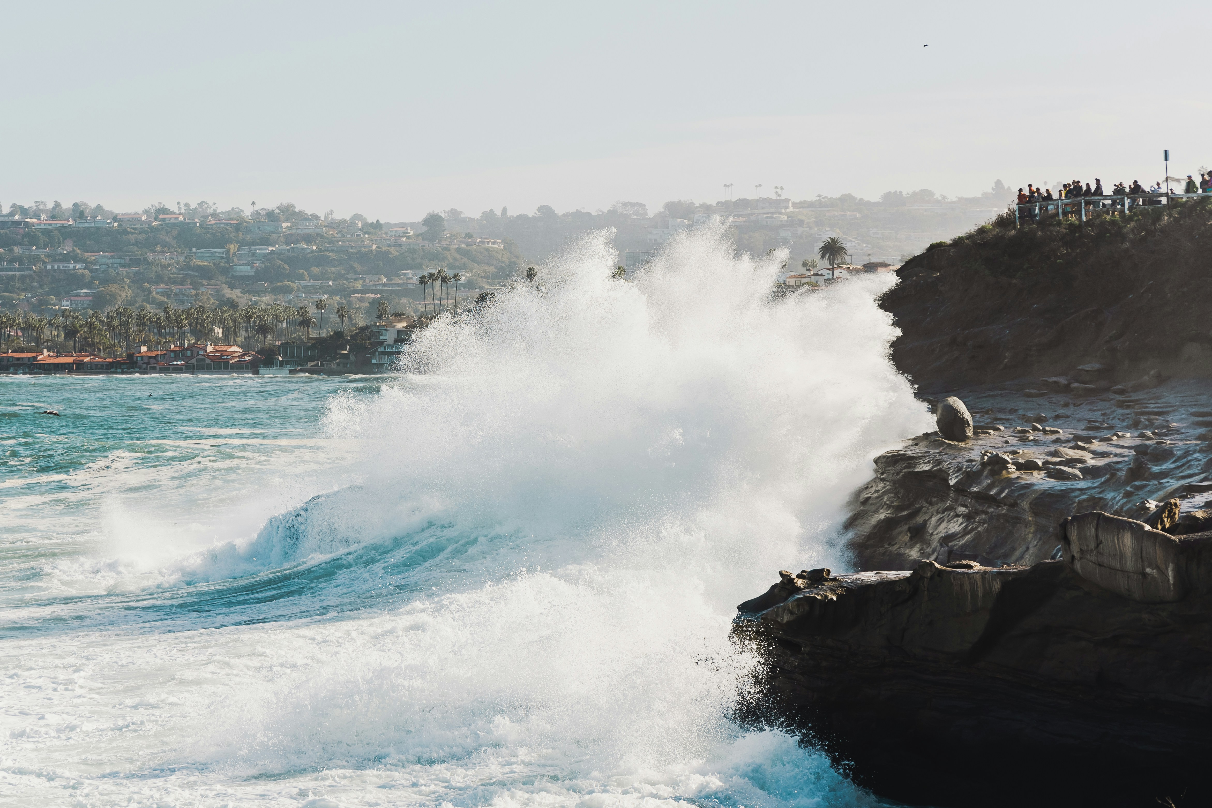 Photo by reednaliboff