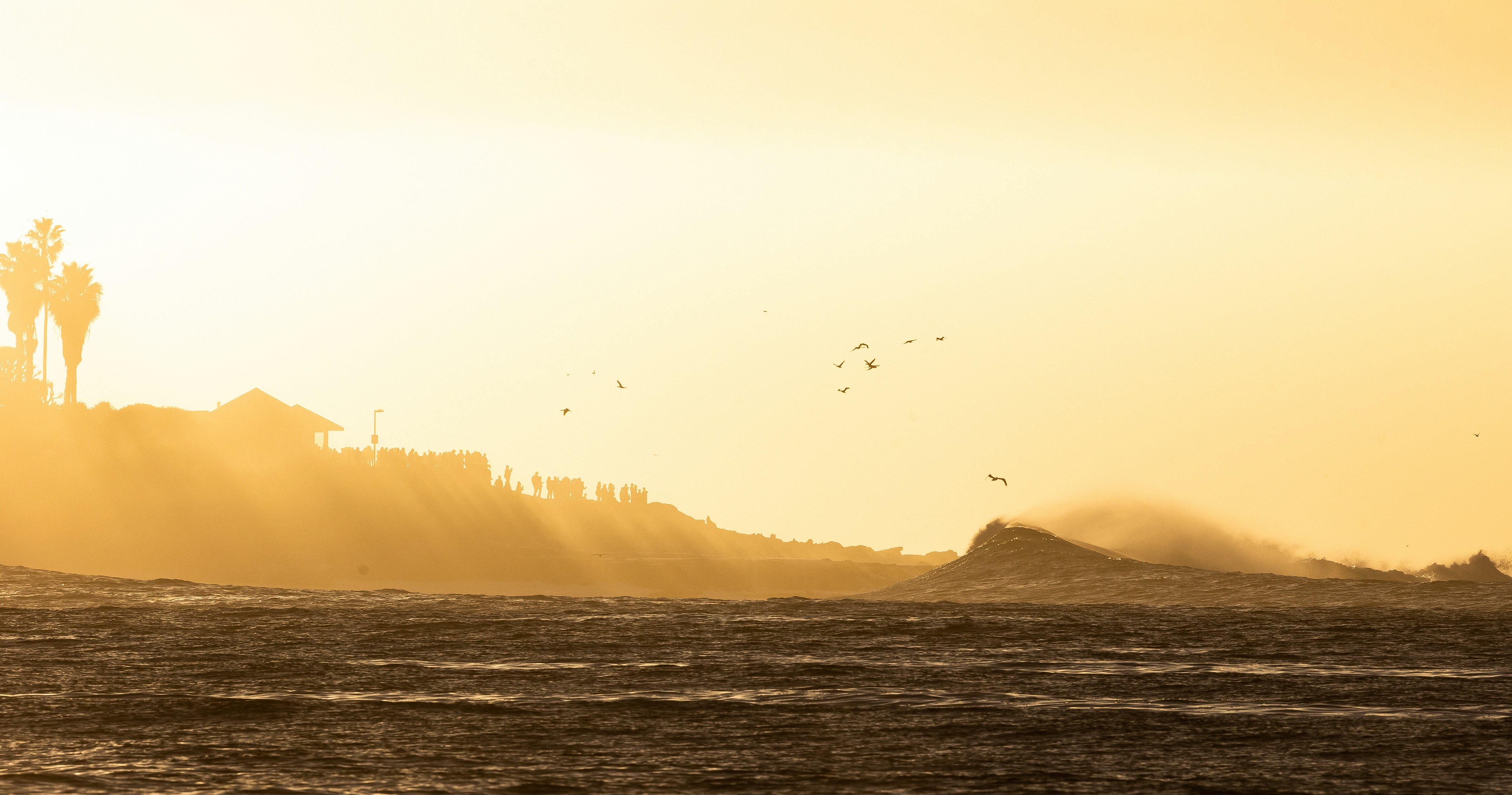 Photo by reednaliboff