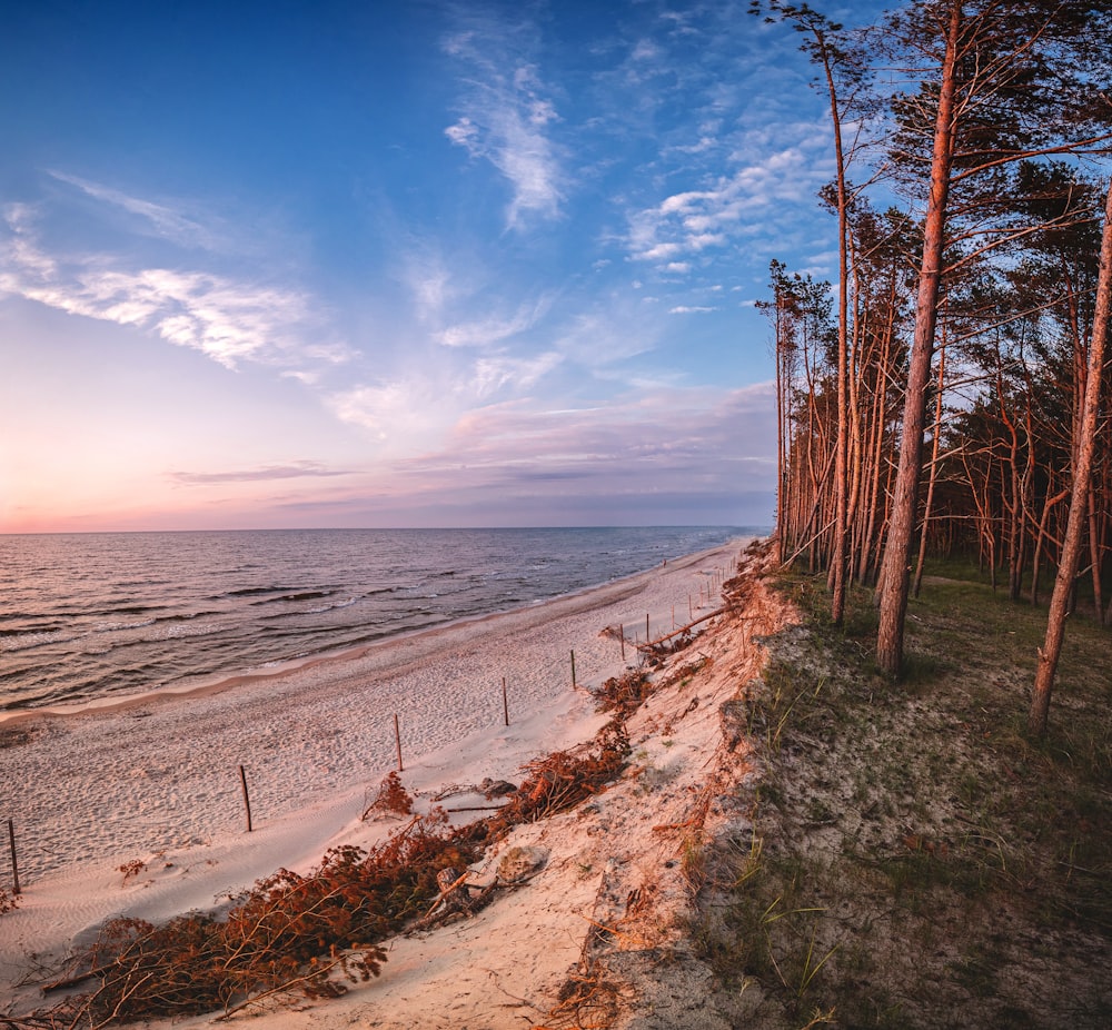 a sandy beach next to the ocean at sunset