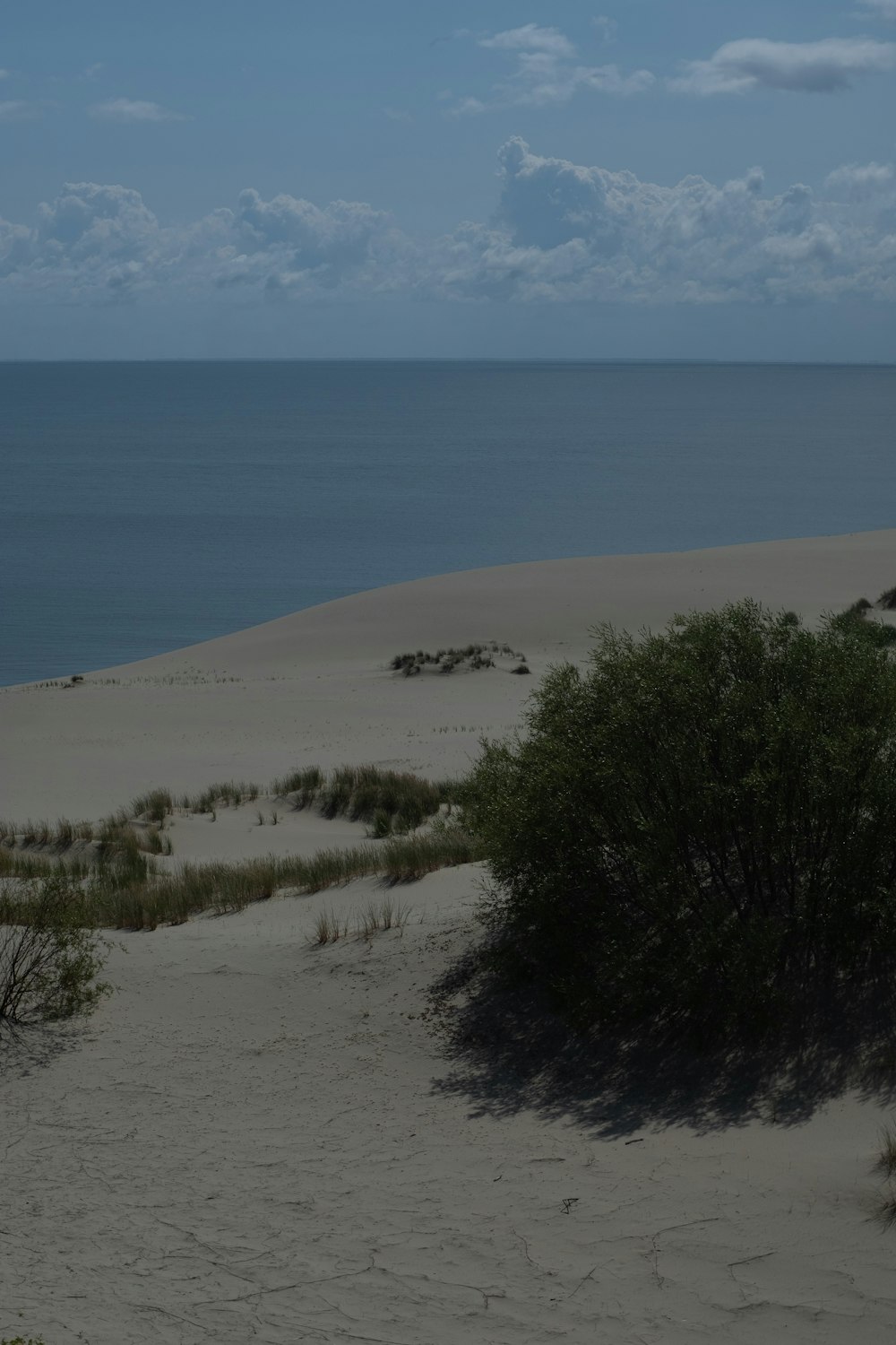 a view of the ocean from a sand dune