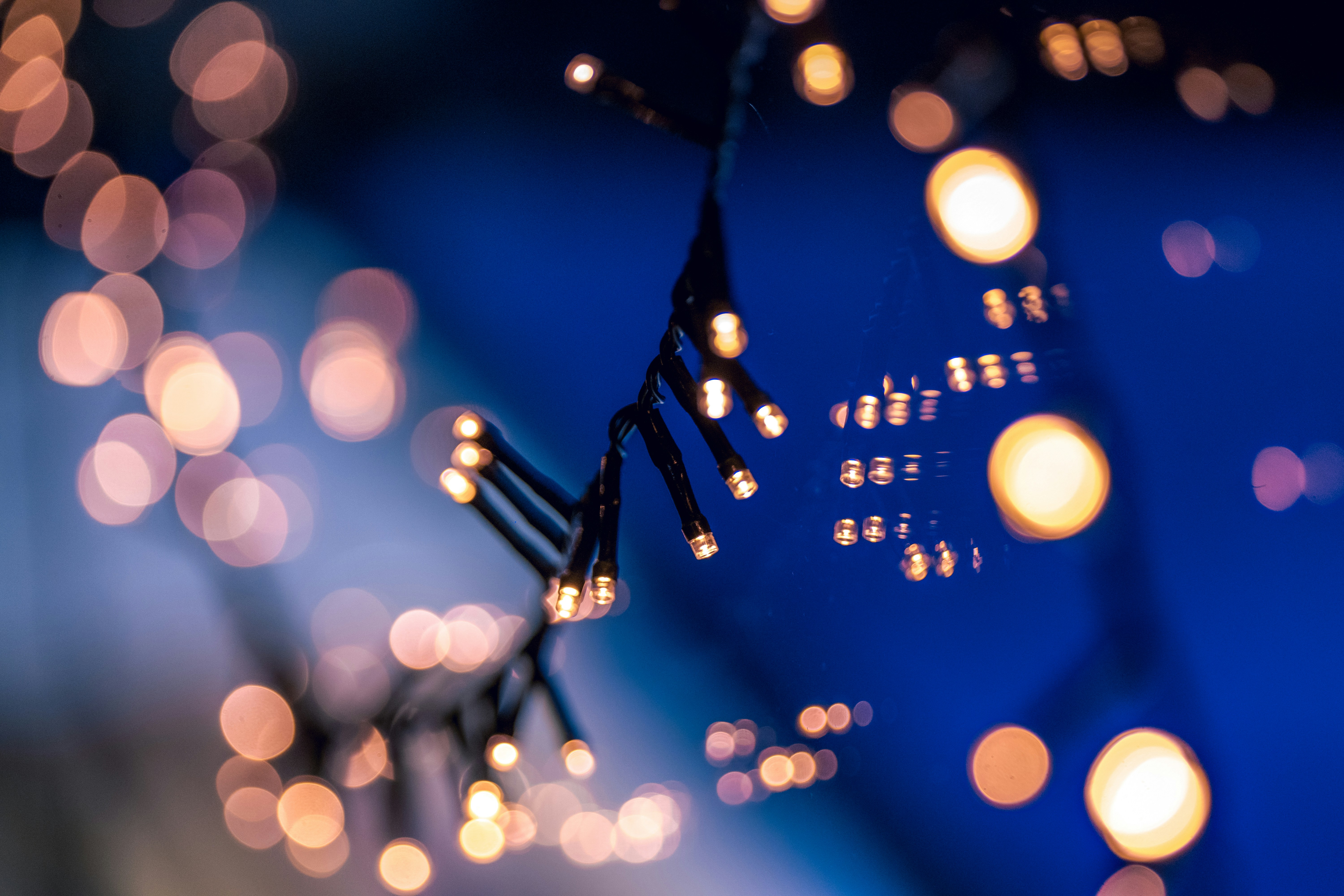 How To Delete ShagMee.com Dating Account Permanently?