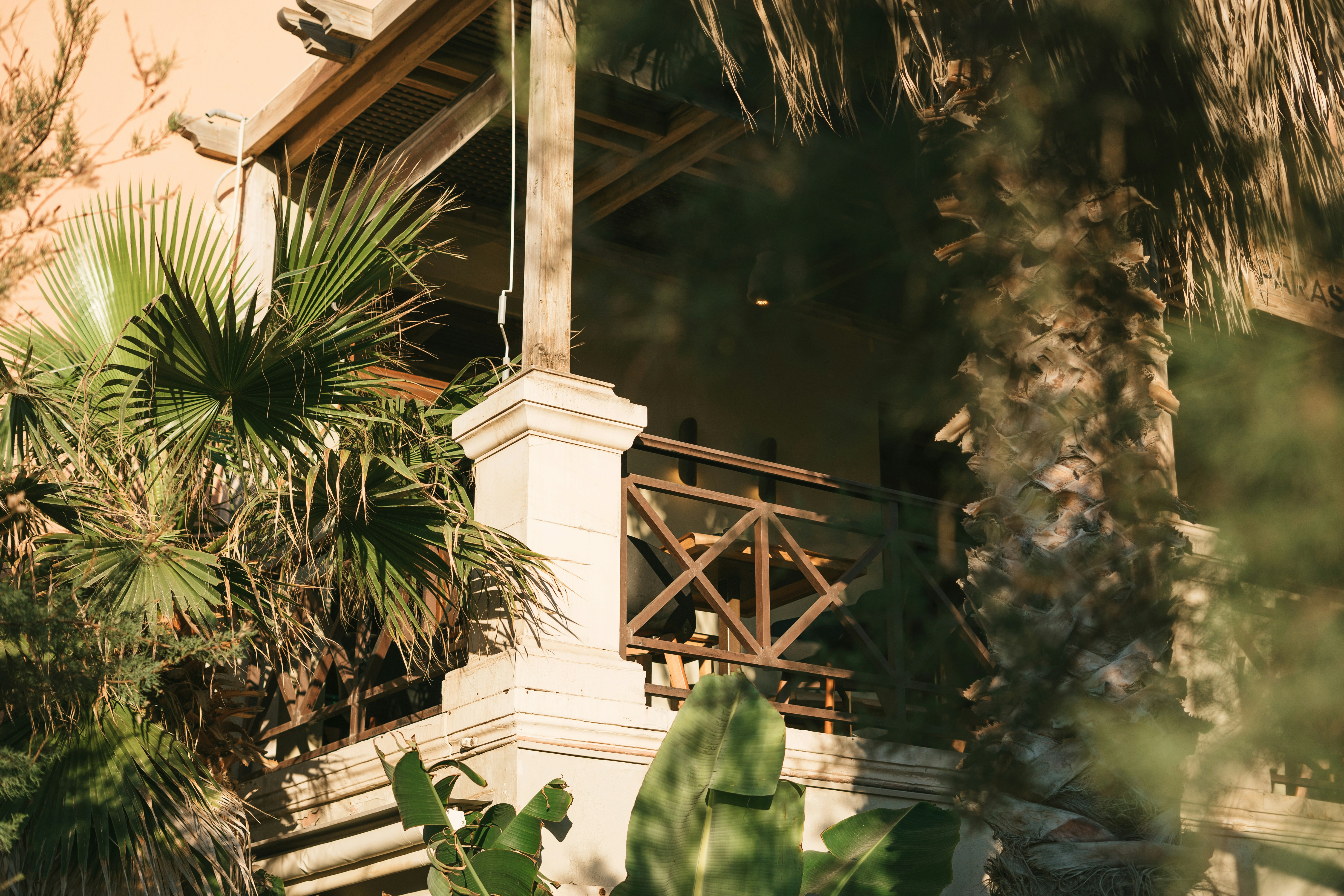 a bird sitting on a balcony next to a palm tree