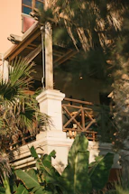 A cozy tropical resort lobby bathed in warm sunlight.