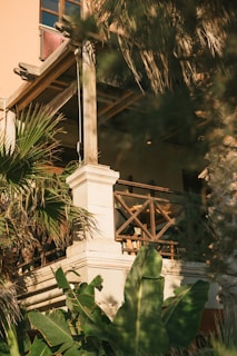A sunlit veranda of a charming Airbnb cottage surrounded by lush tropical plants