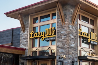 A rustic building features a prominent signage with the words 'Lazy Dog' in bright yellow letters. The structure is made of stone and wood, with large windows. The ambiance suggests a cozy eatery or bar.