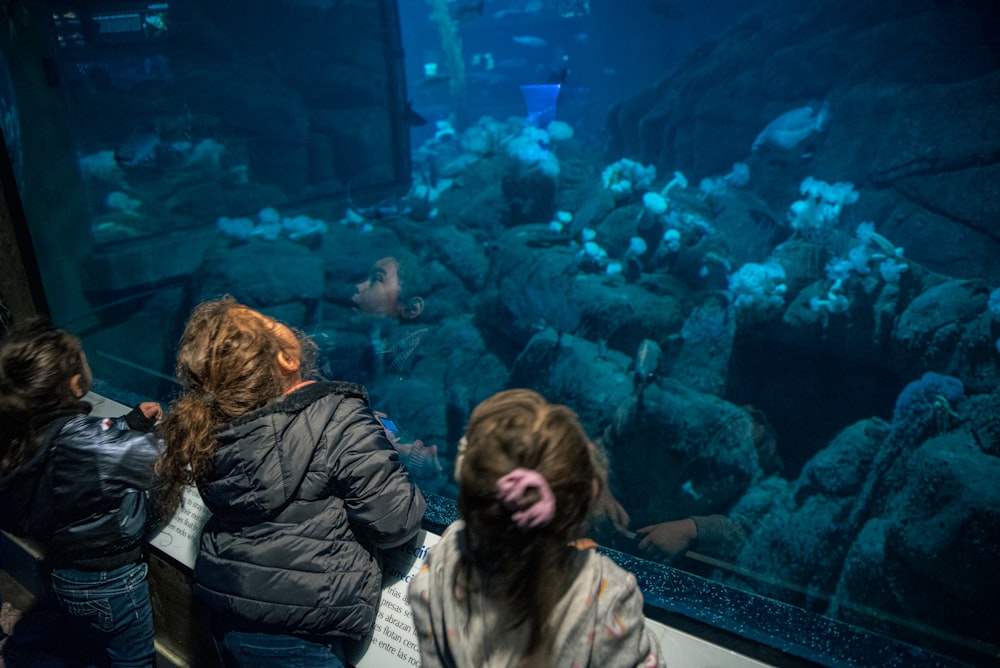 a group of children looking at a fish tank