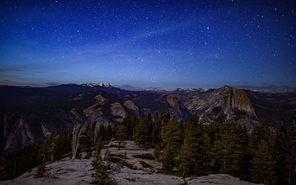 the night sky over the mountains and trees