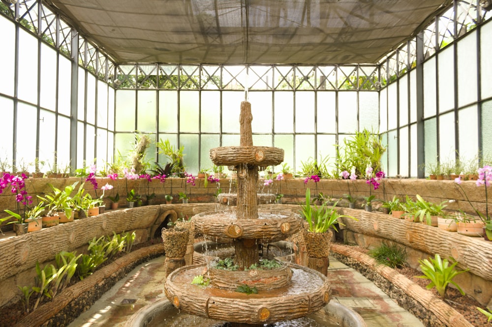 a water fountain surrounded by plants in a greenhouse