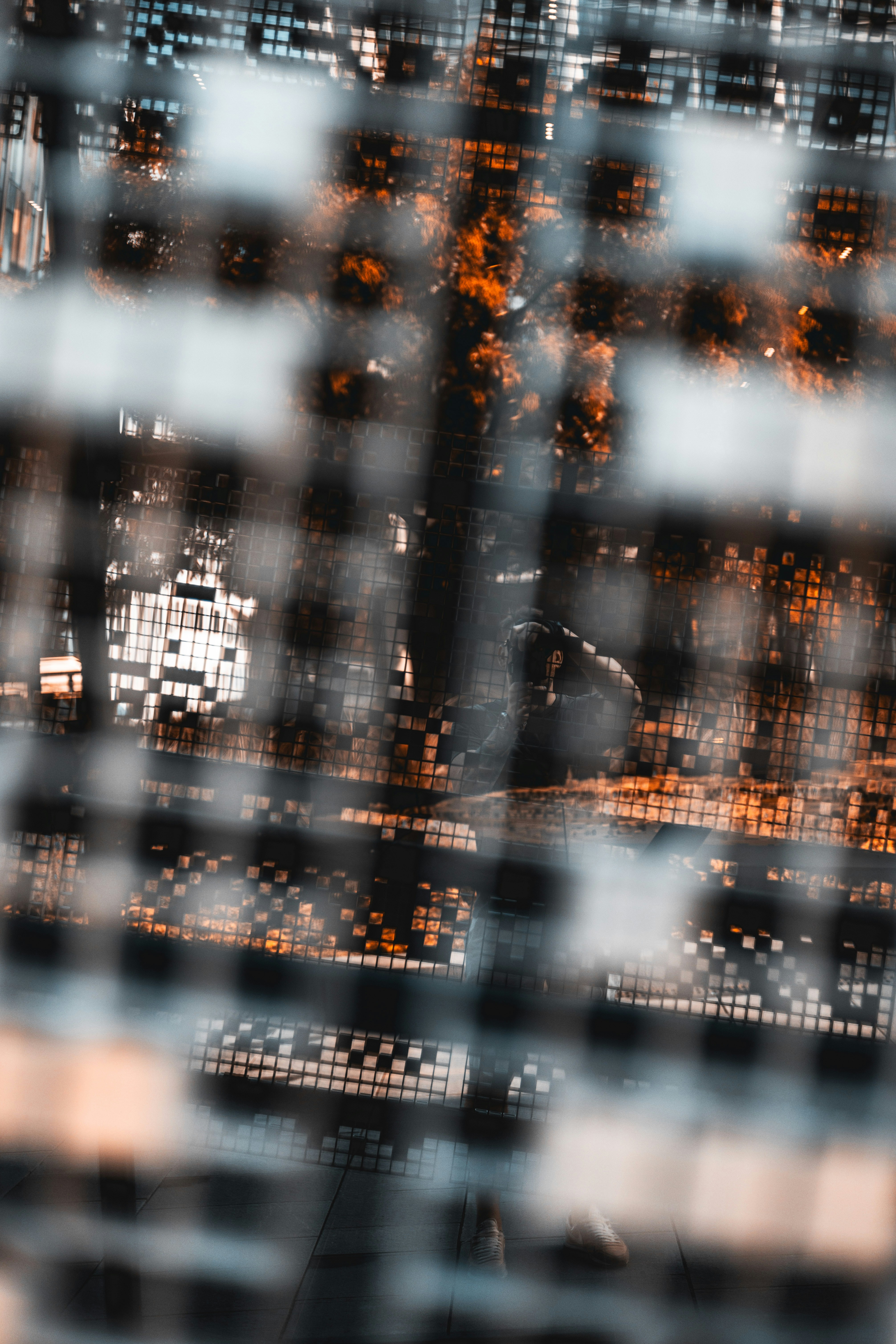 Photo by stachmann