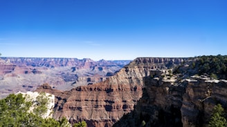 A vast and majestic view of the Grand Canyon with layered rock formations visible in various shades of red and brown. The sky above is clear and bright blue, enhancing the depth and beauty of the canyon. In the foreground, there are green bushes and trees, adding contrast to the rocky landscape.