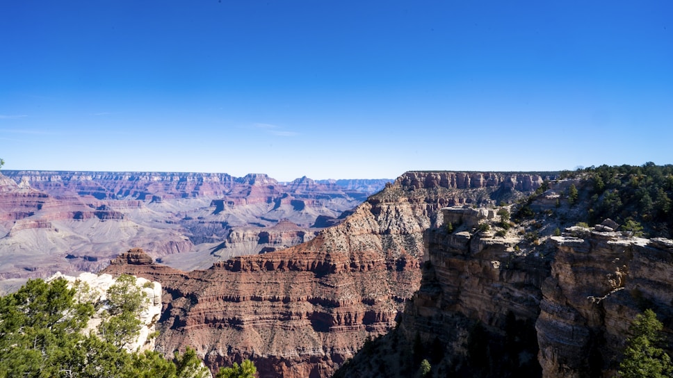 A vast and majestic view of the Grand Canyon with layered rock formations visible in various shades of red and brown. The sky above is clear and bright blue, enhancing the depth and beauty of the canyon. In the foreground, there are green bushes and trees, adding contrast to the rocky landscape.
