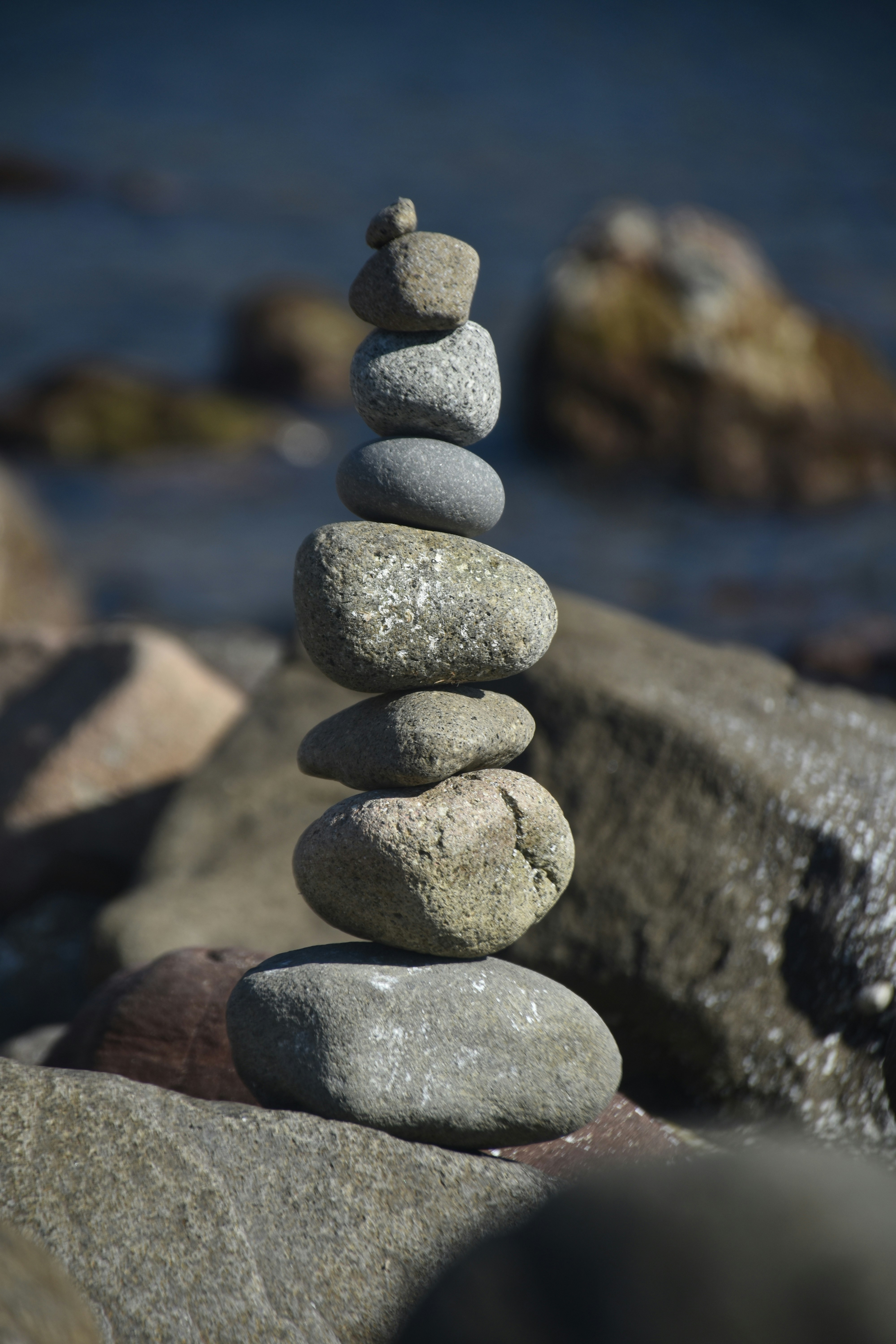 Photo by alegriadevivir13