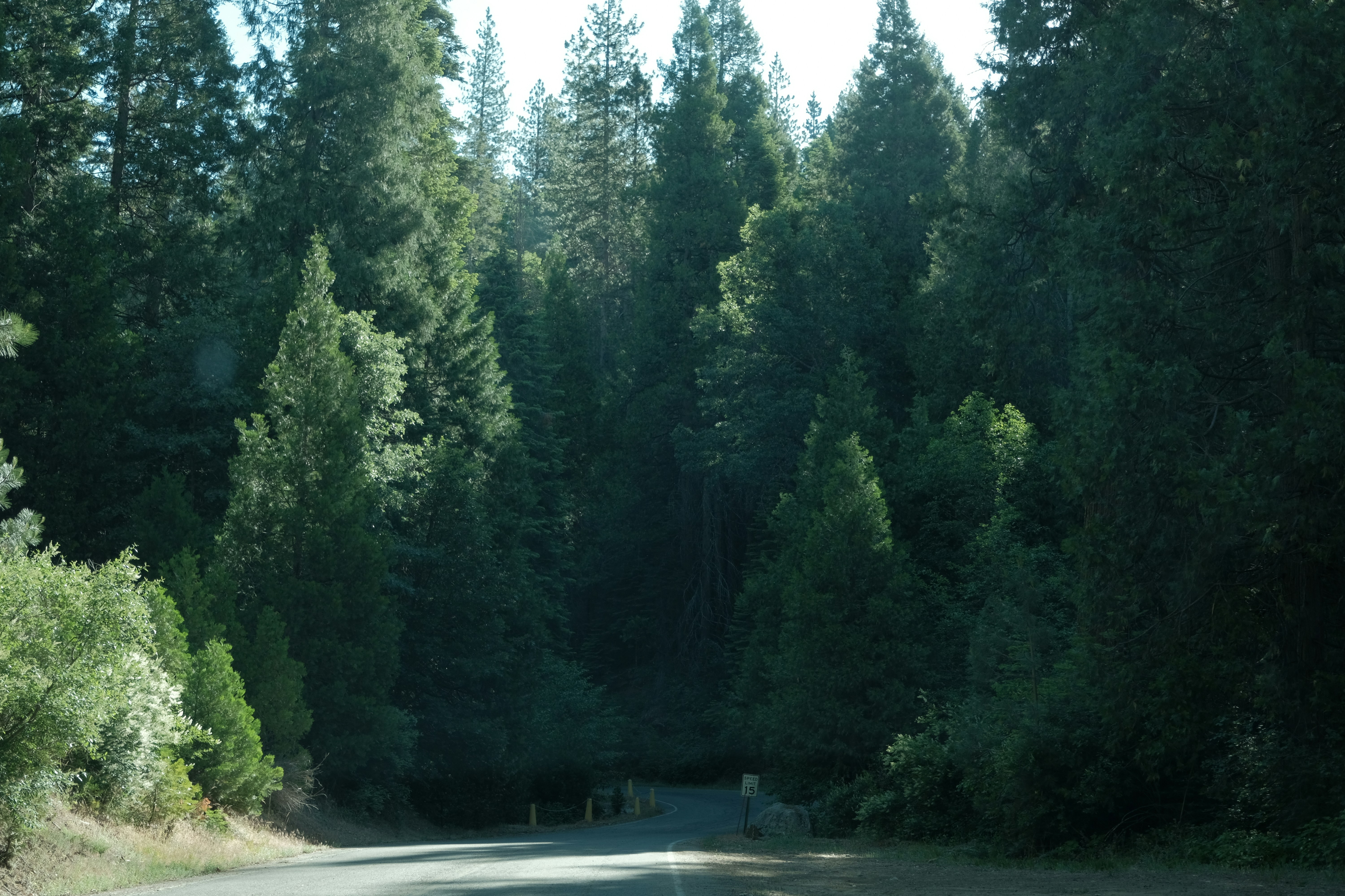 Photo by iflykingair_350