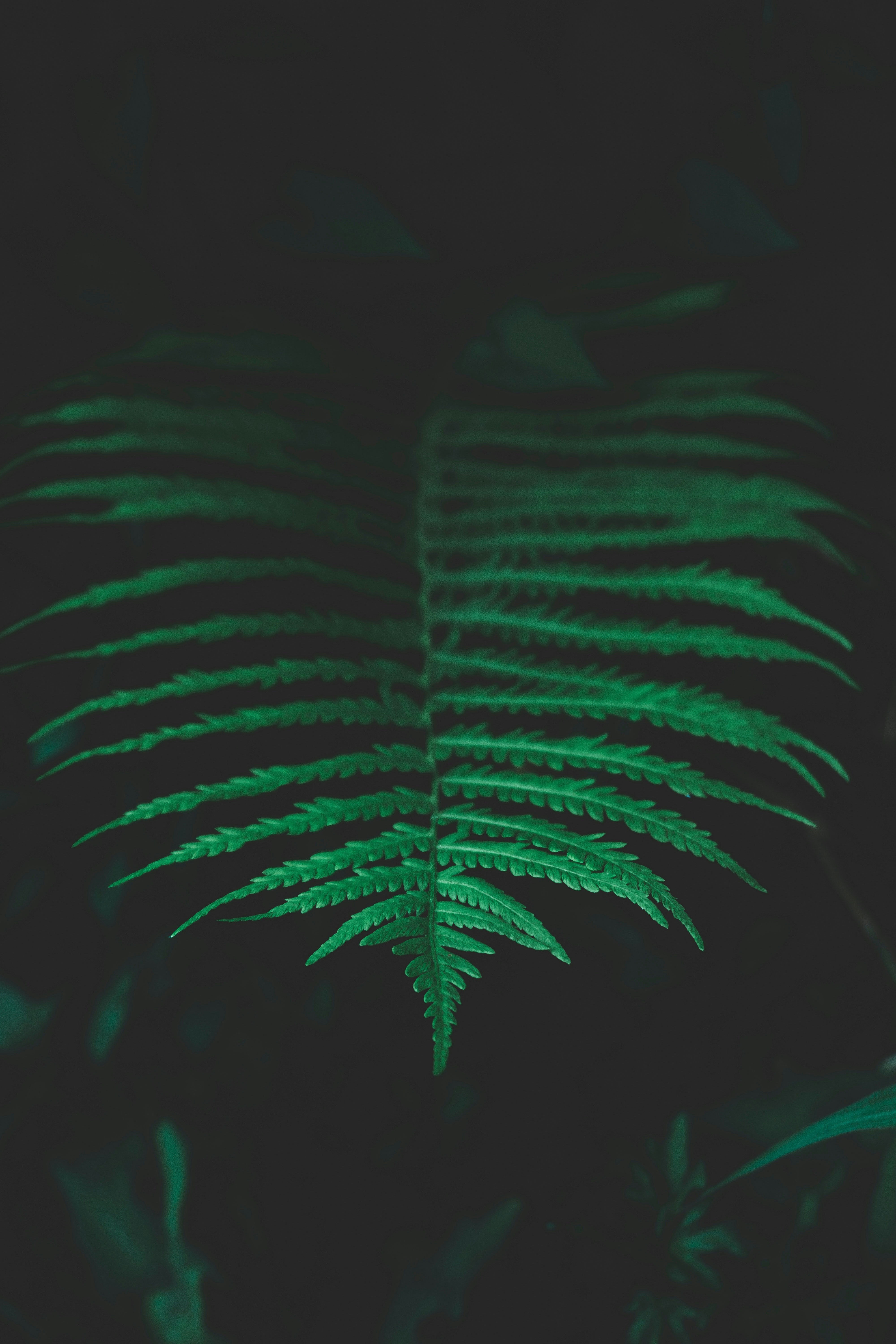 Photo by yusufgunduz00