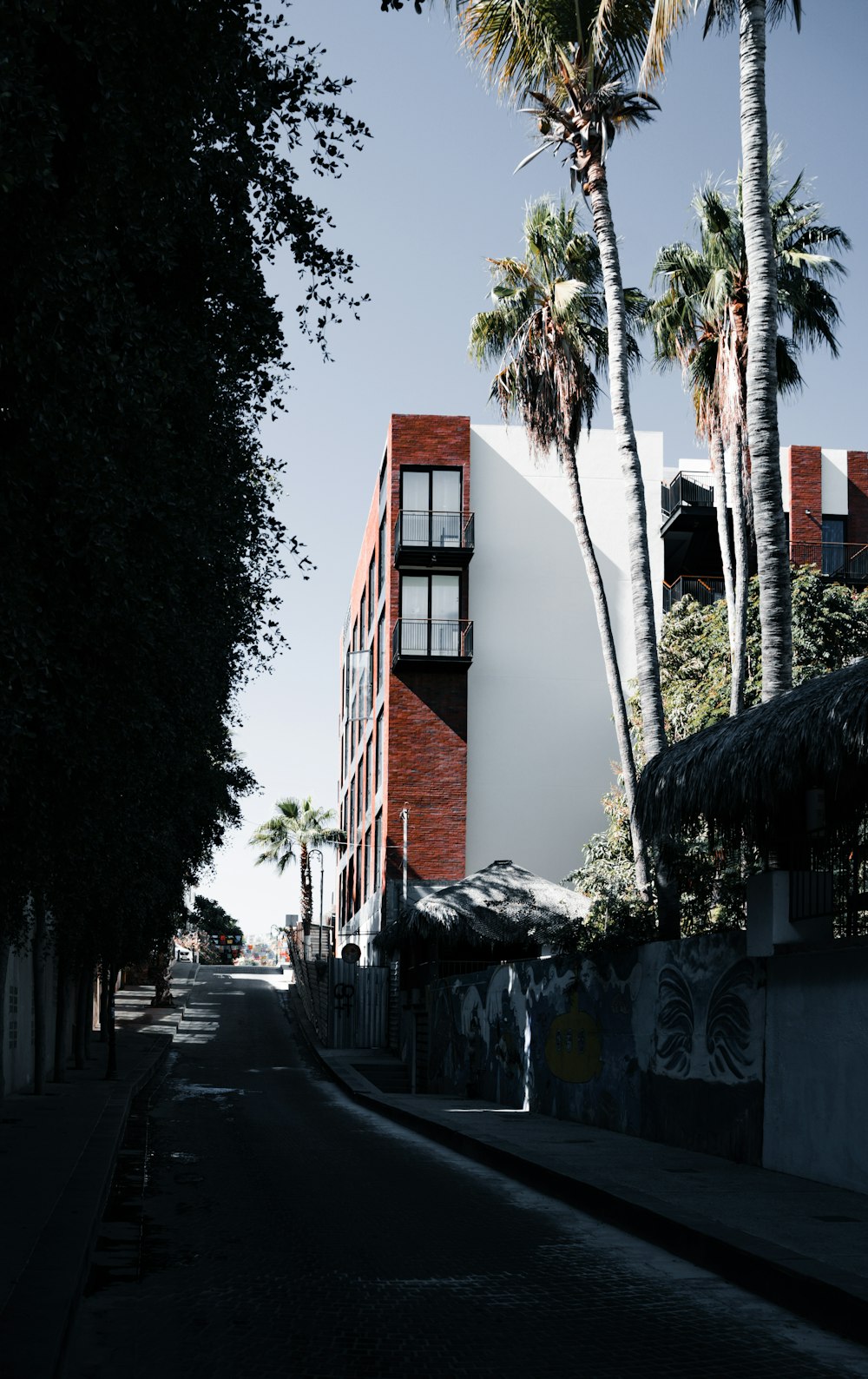 a street lined with palm trees next to a tall white building