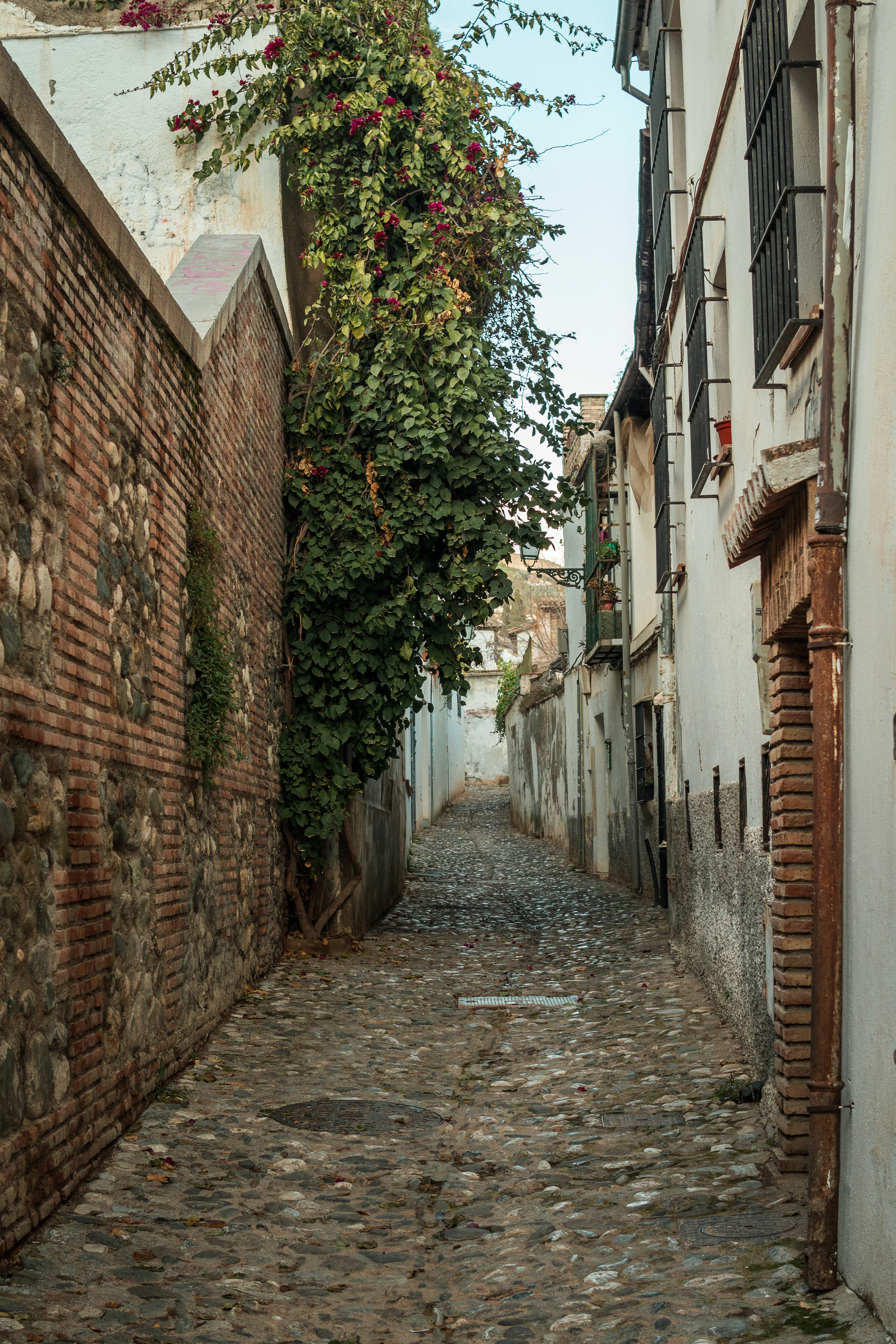 A narrow cobbled lane climbing through Granada's Albaicin quarter between a brick and river-stone wall and whitewashed houses, a cascade of magenta bougainvillea spilling across the gap above.