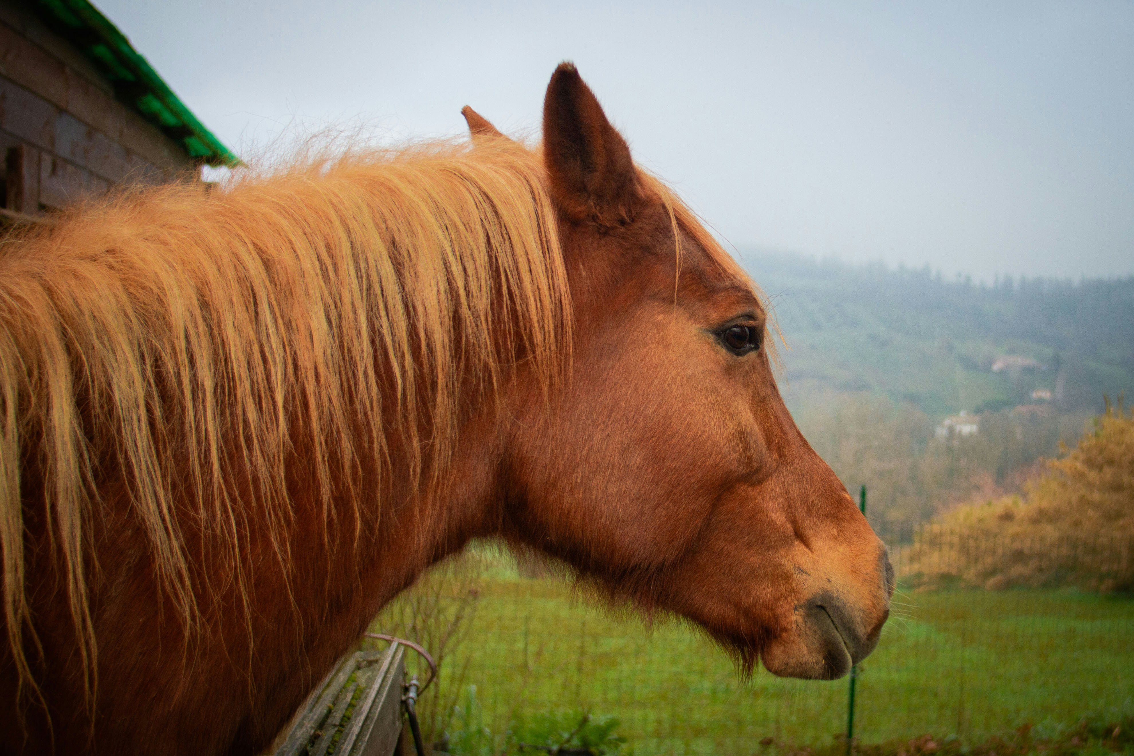 Photo by mattia_poli_04