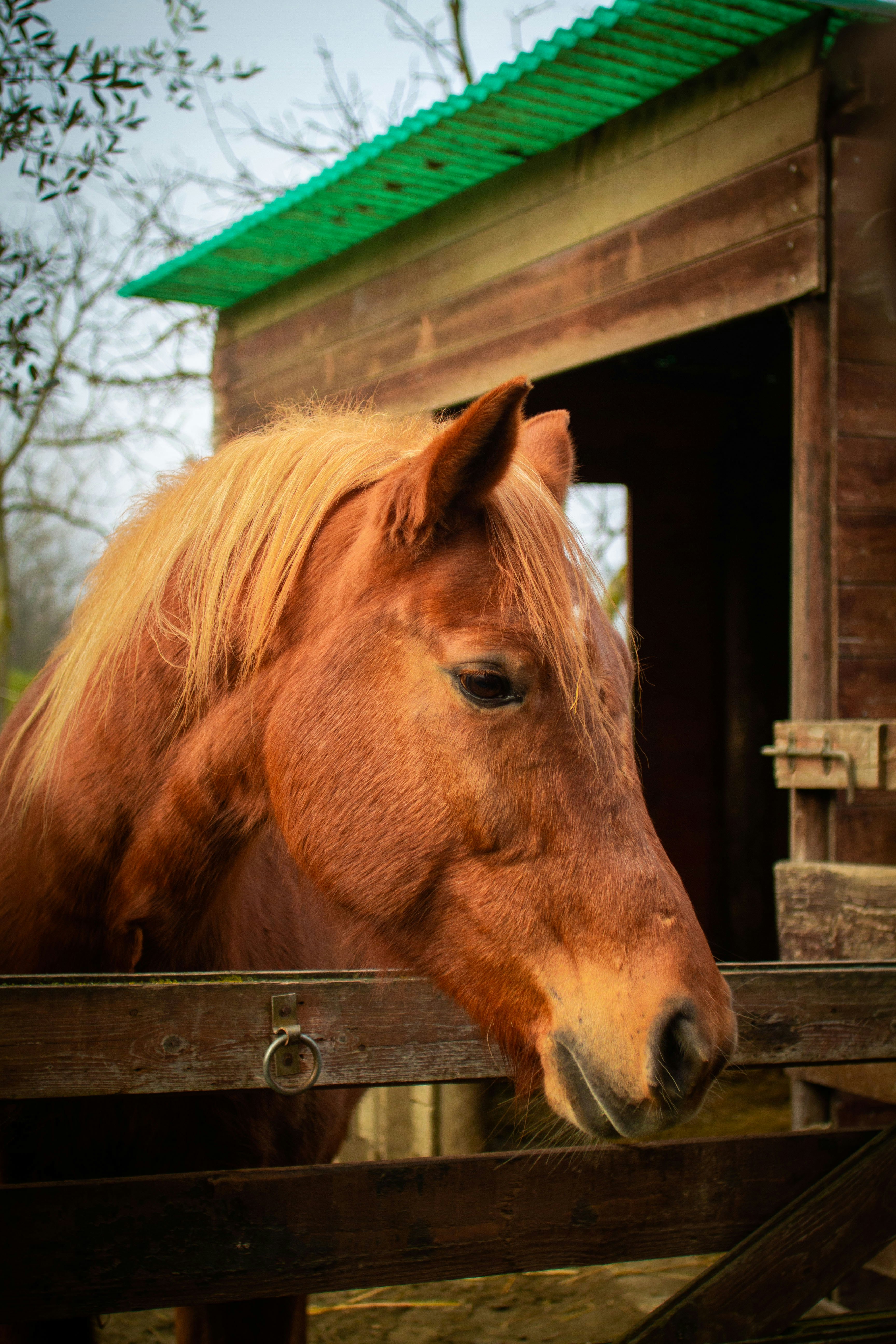 Photo by mattia_poli_04