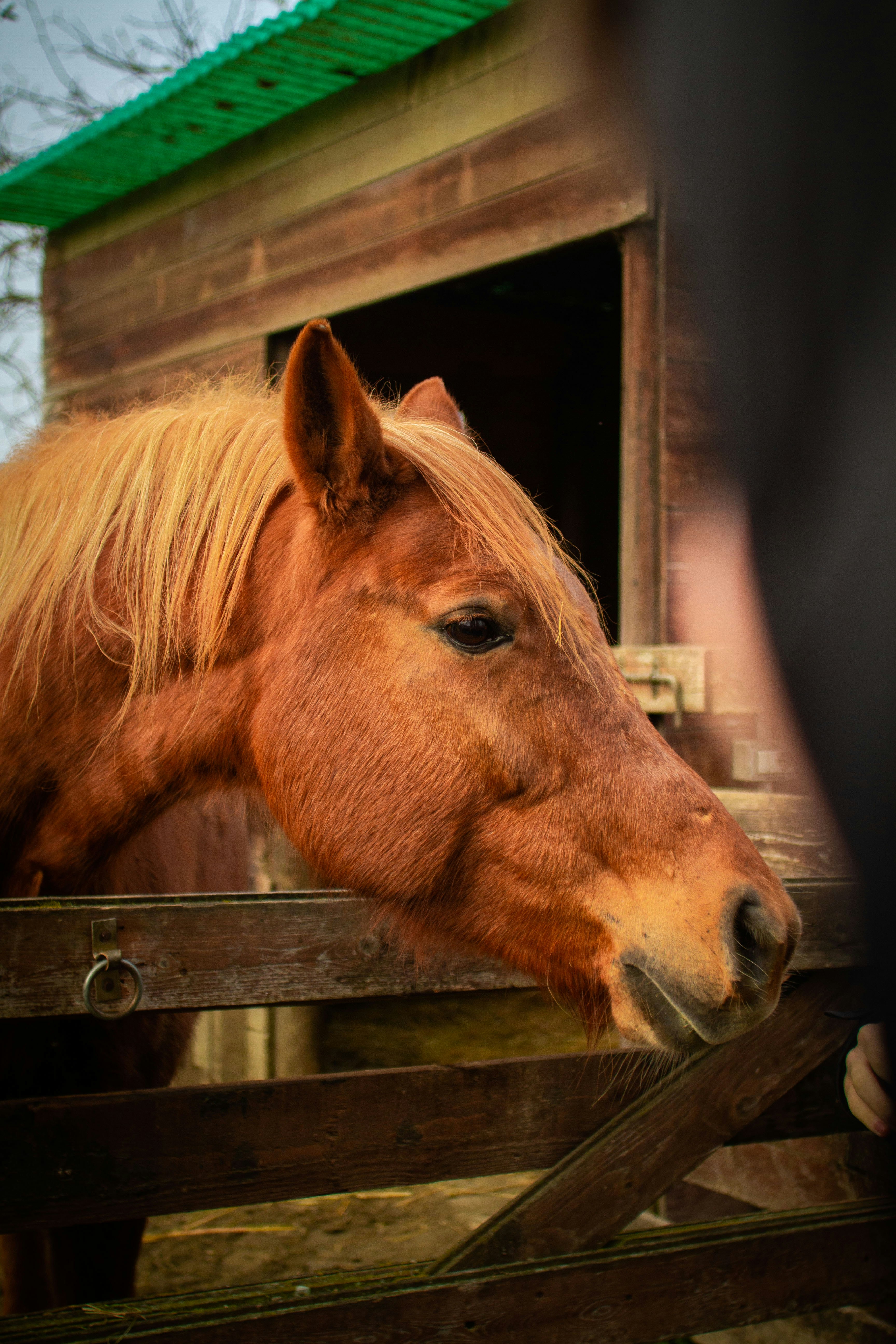 Photo by mattia_poli_04