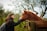 A person with long dark hair is gently reaching out to touch a horse's face. They are standing beside a wooden fence in a lush pastoral setting with olive trees in the background. The sky appears overcast, adding a serene and peaceful atmosphere to the scene.