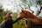 A person with long dark hair is gently reaching out to touch a horse's face. They are standing beside a wooden fence in a lush pastoral setting with olive trees in the background. The sky appears overcast, adding a serene and peaceful atmosphere to the scene.