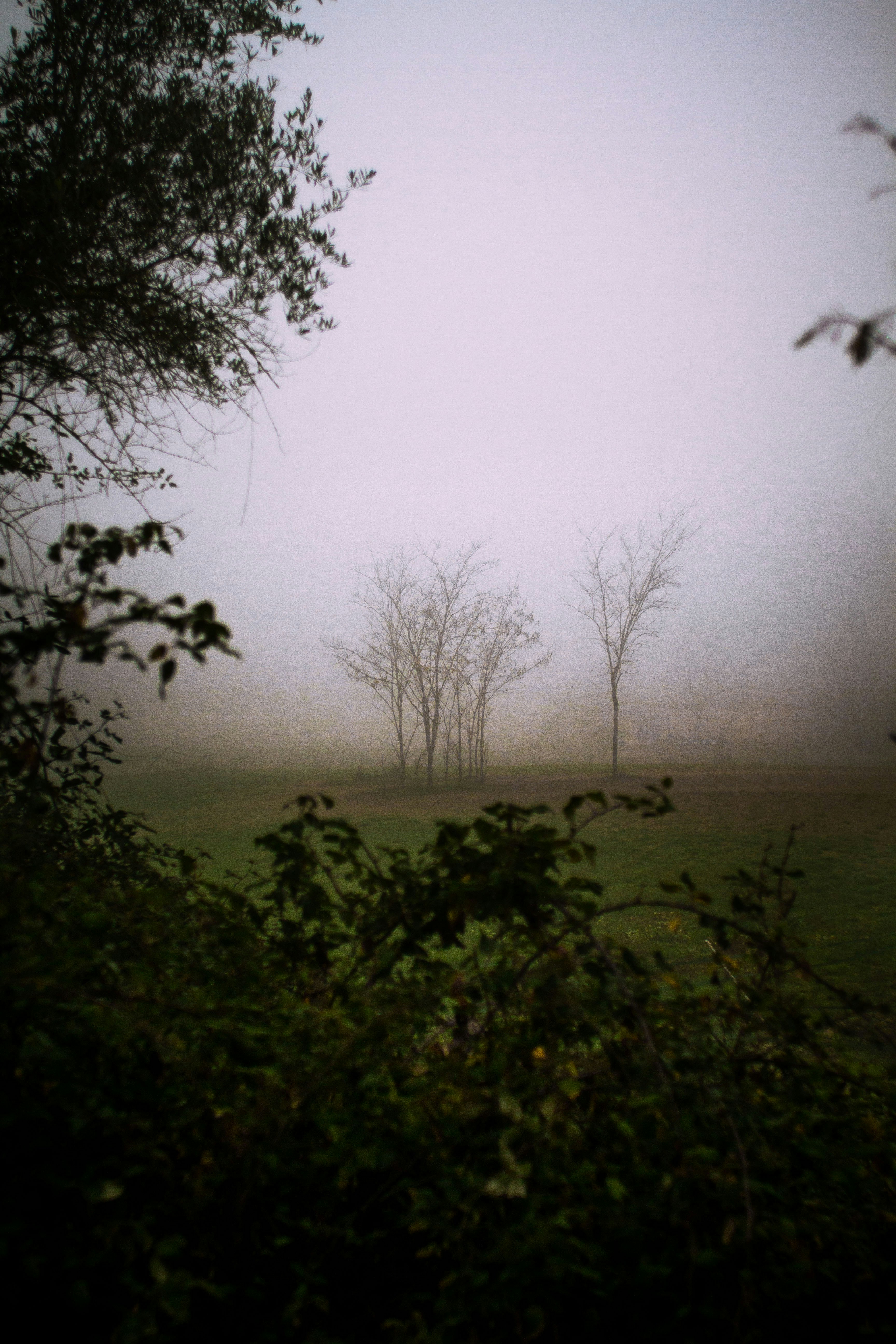 Photo by mattia_poli_04