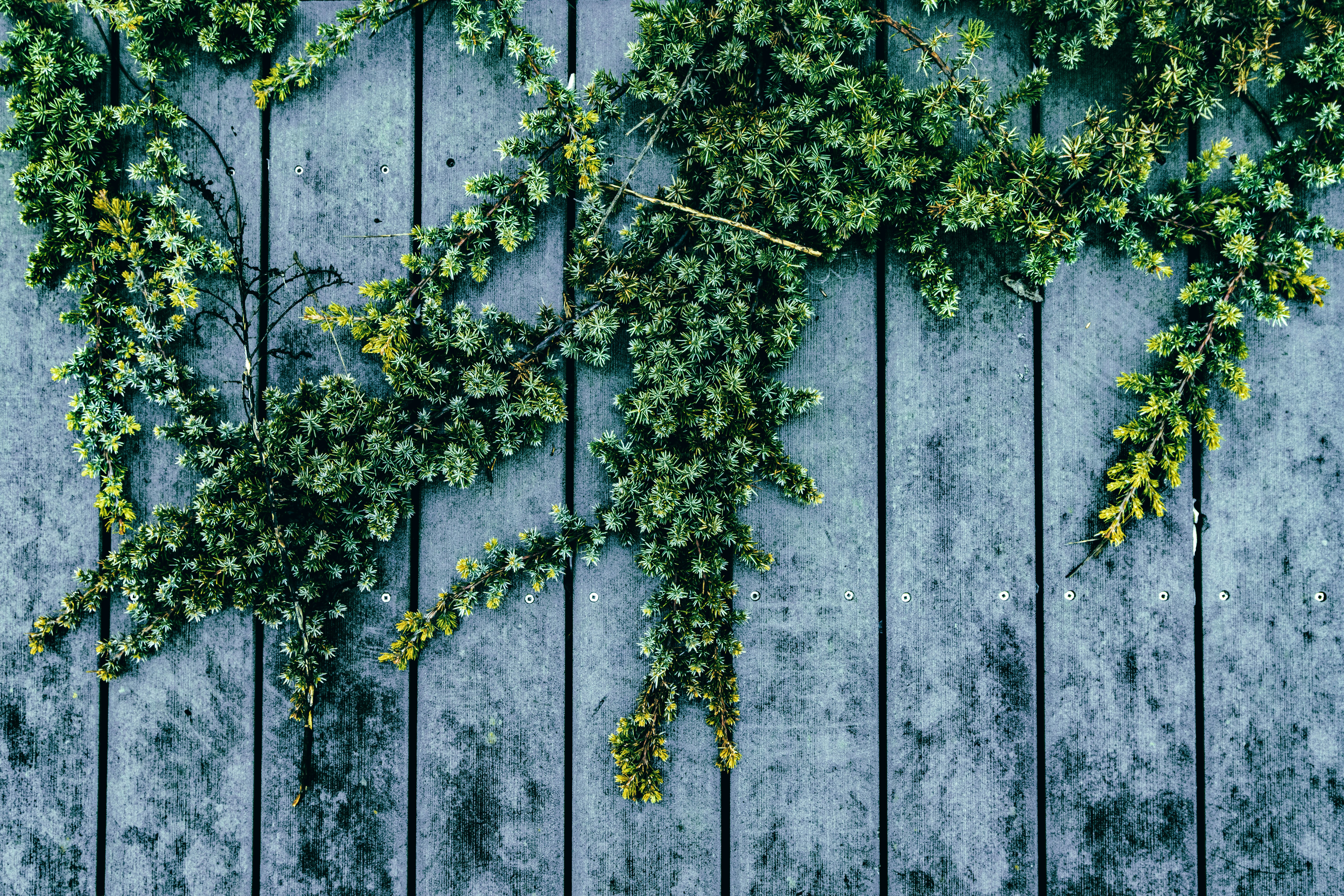 Photo by parkerdesignsss