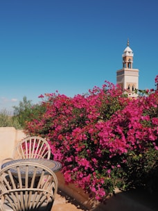 two chairs and a table in front of a bush with pink flowers