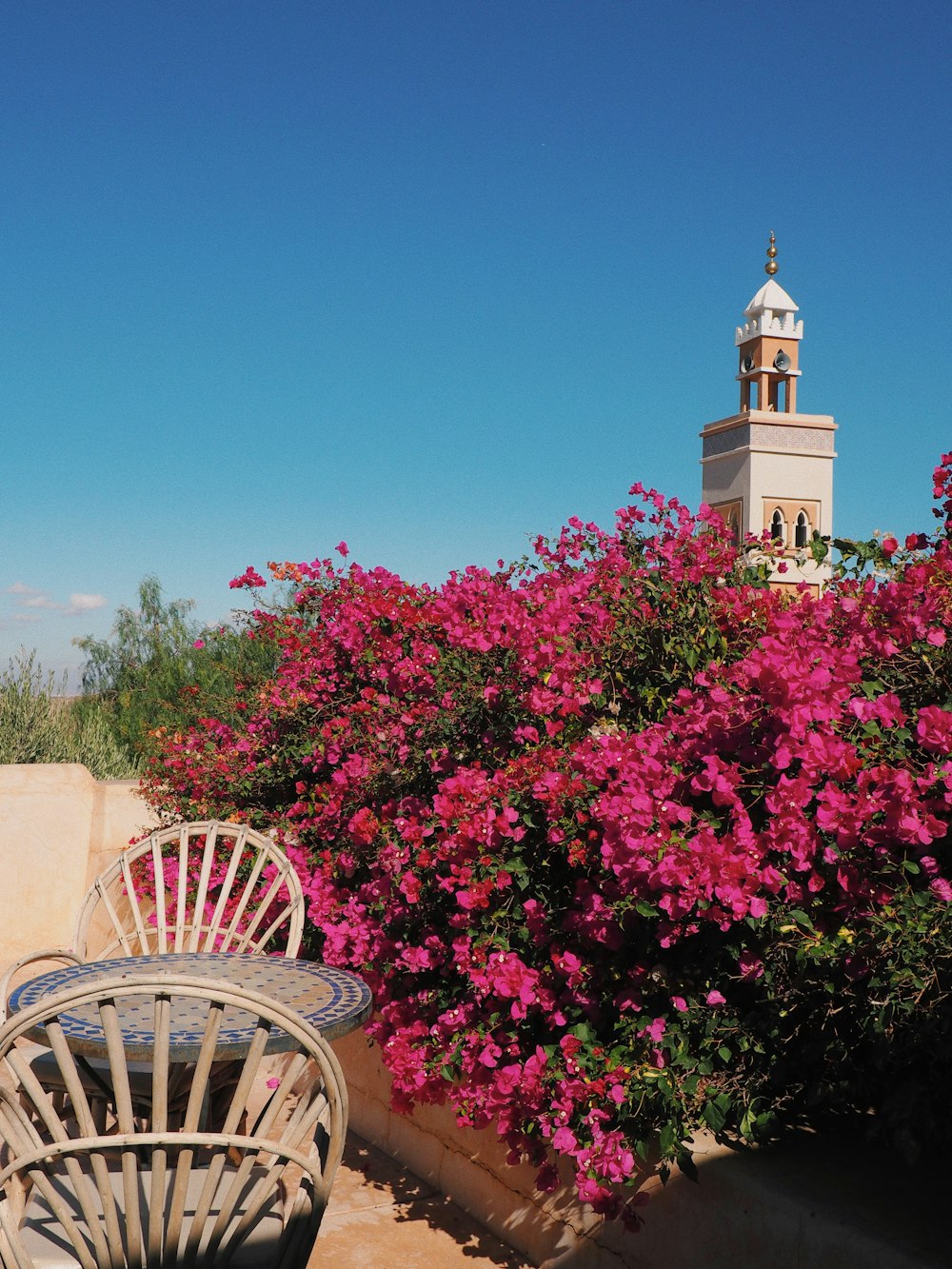 two chairs and a table in front of a bush with pink flowers