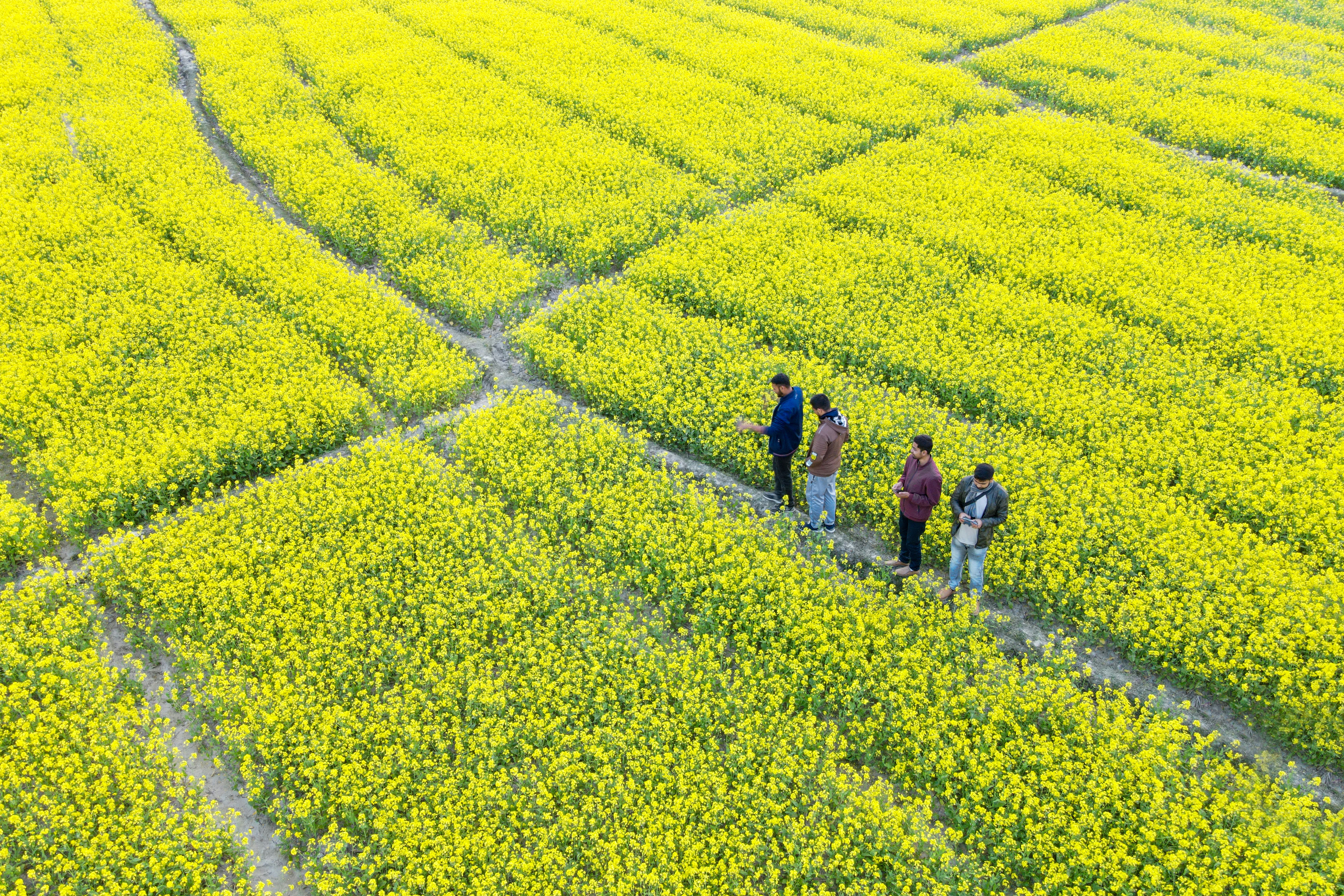 Photo by rejaul_creativedesign