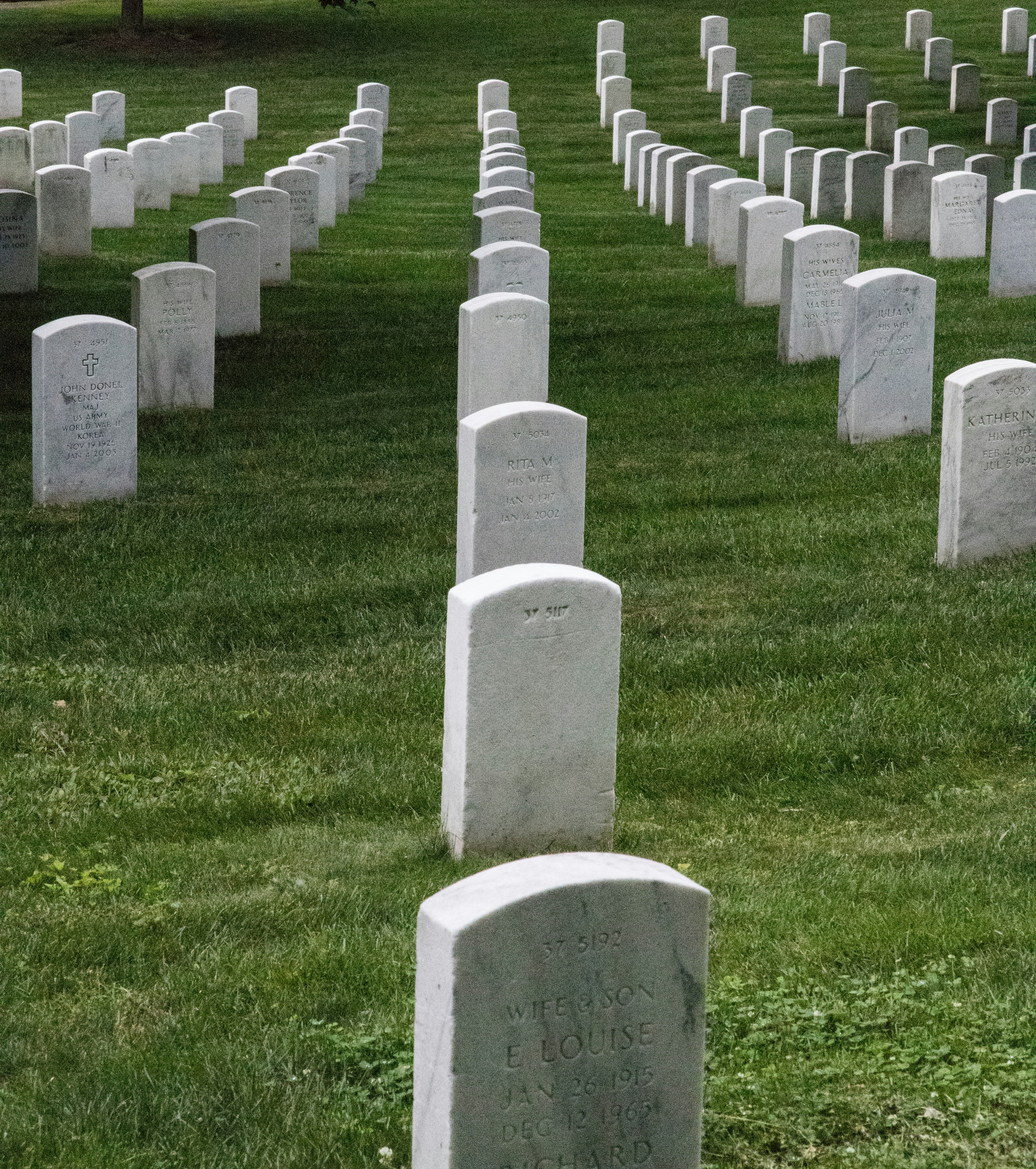 a bunch of headstones in a grassy field