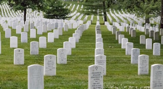 a cemetery with rows of headstones and trees in the background