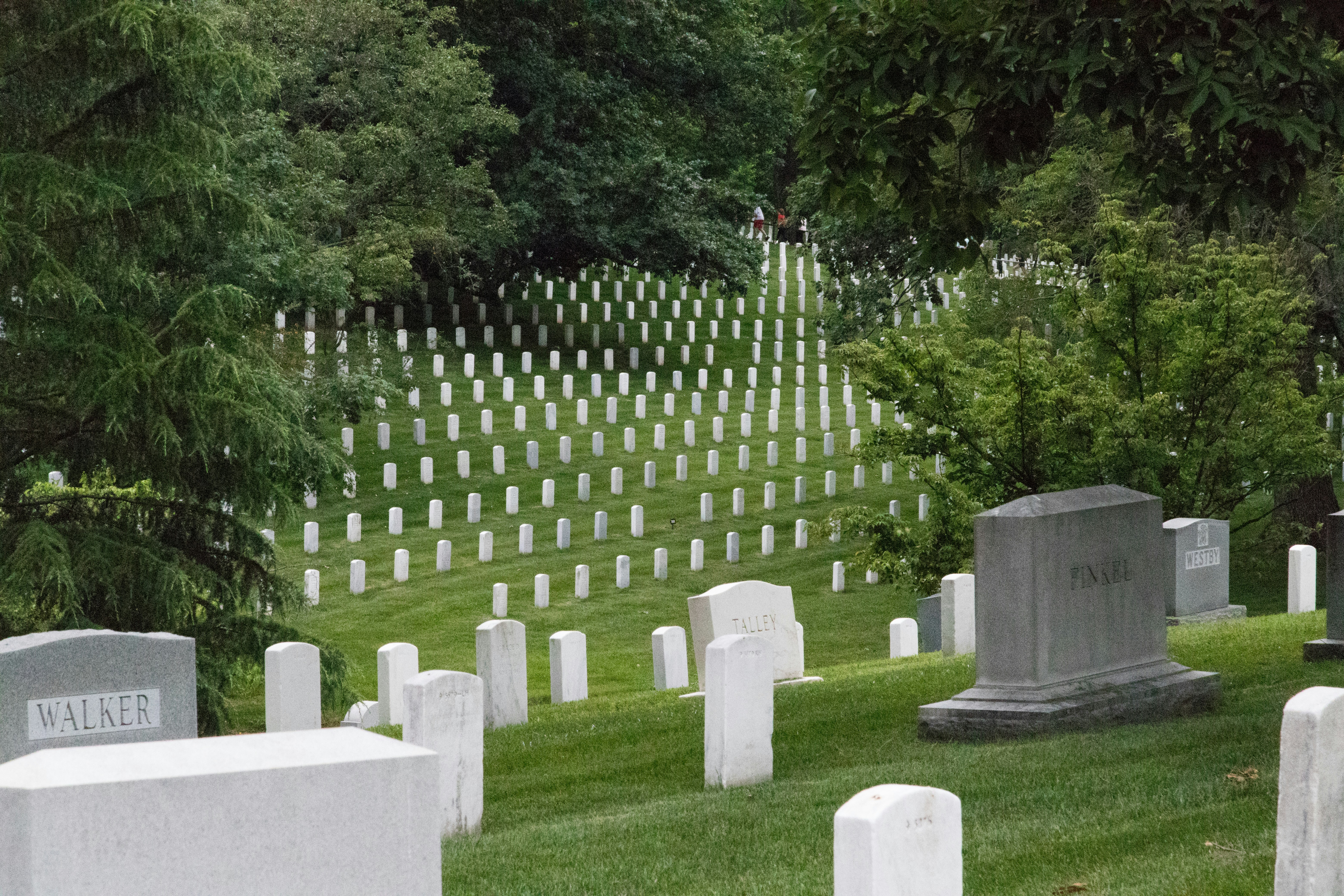 a cemetery with rows of headstones and trees in the background