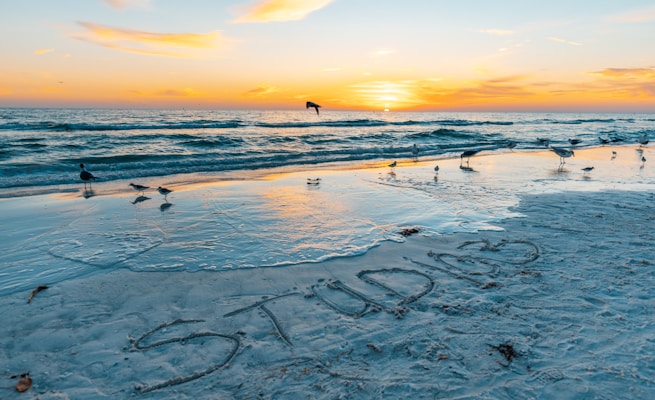 A serene beach scene during sunset with seagulls scattered along the shoreline. The ocean reflects the warm hues of the setting sun, while the word 'STUDIO' is etched in the sand near the water's edge. Waves gently lap against the shore under a colorful sky with orange and blue tones.