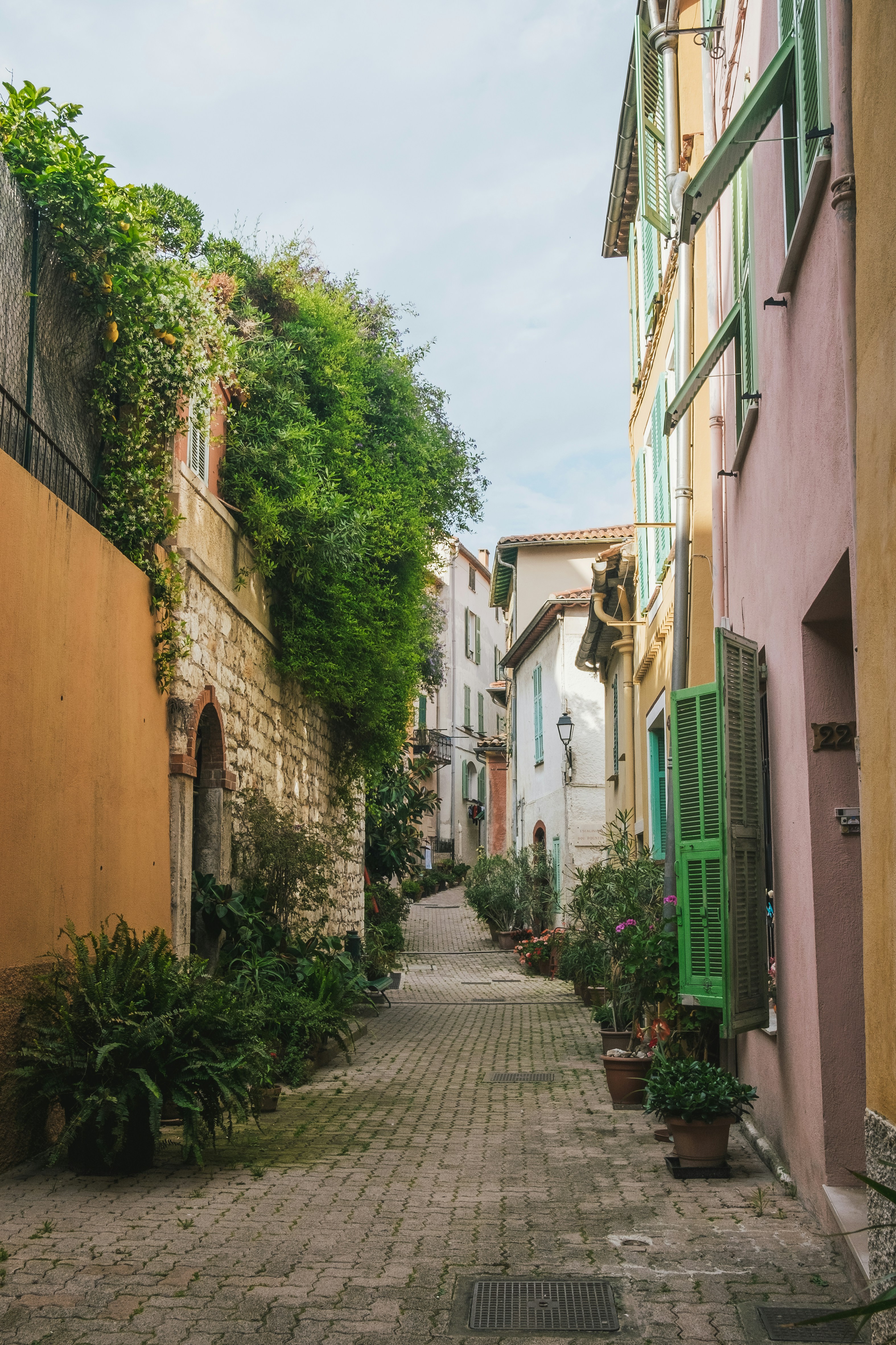 Photo by chelseaessig