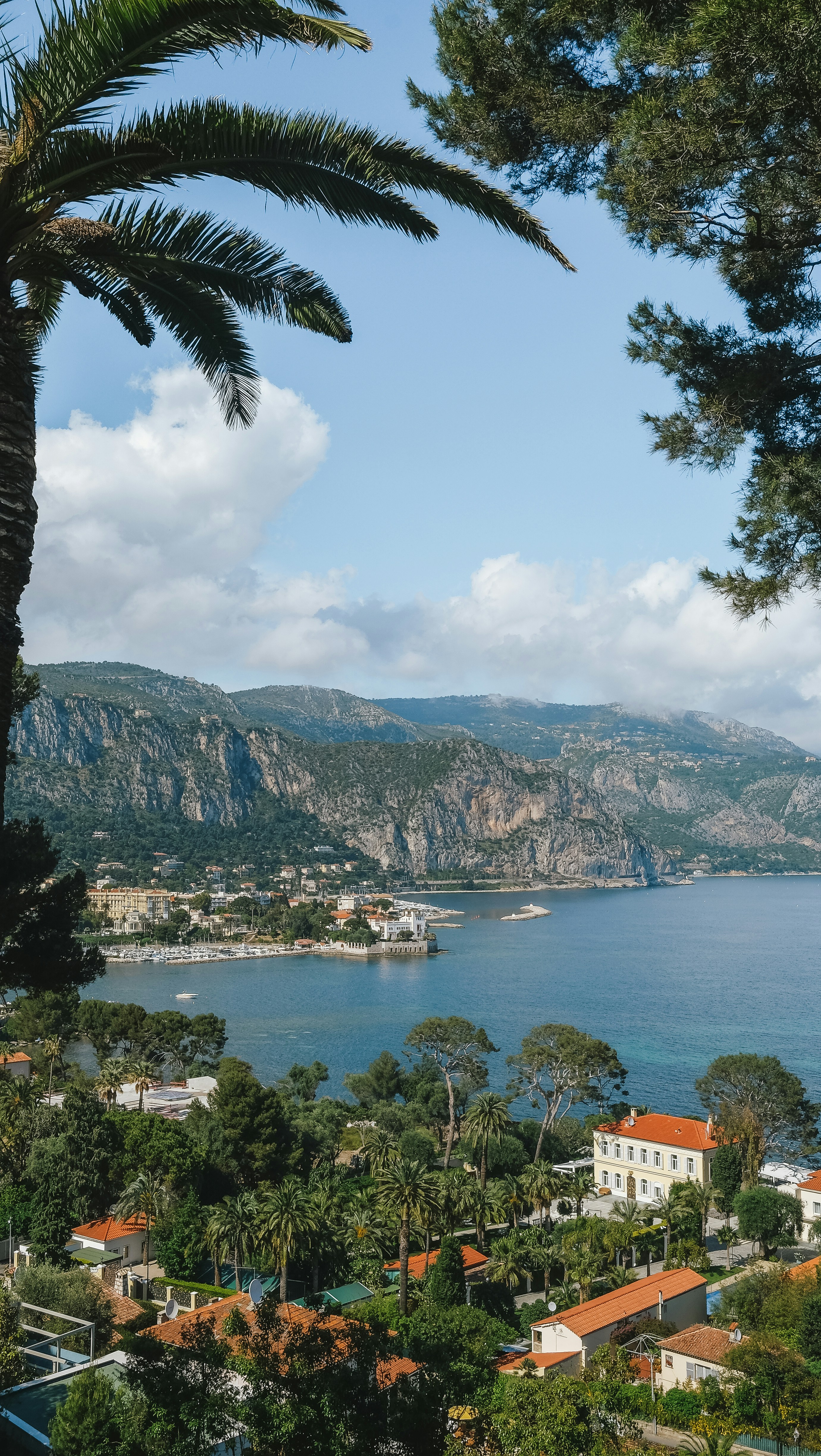 Photo by chelseaessig