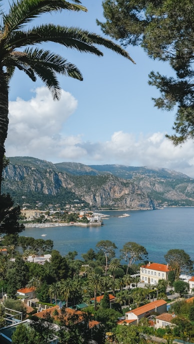a large body of water surrounded by trees