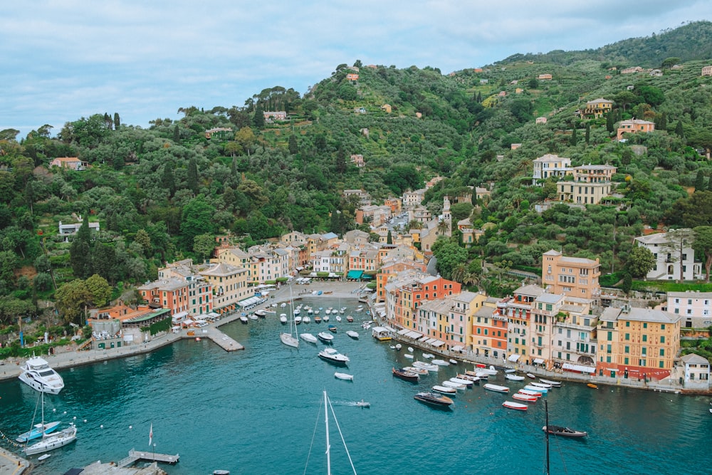 a harbor filled with lots of boats next to a lush green hillside