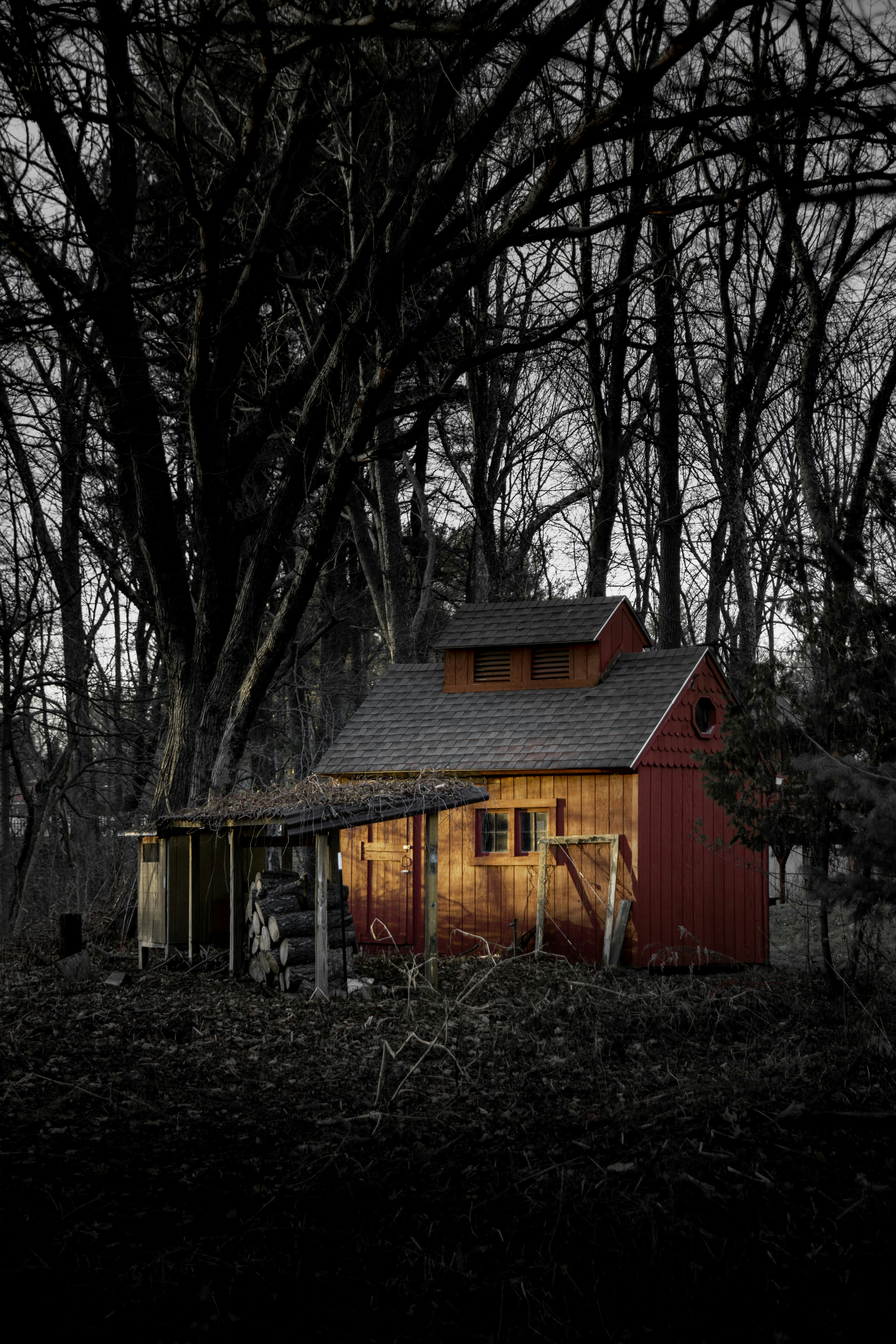 Photo by seewonderfulthings