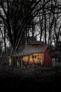 A rustic wooden cabin with a small pitched roof is nestled among tall, bare trees. The cabin is painted in a deep red color and features a small extension or outhouse with a pile of chopped logs under a lean-to roof. The setting appears dense and shadowy, creating a secluded and serene environment.
