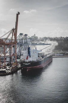 Coal cargo ship docked at a busy industrial port with cranes unloading.