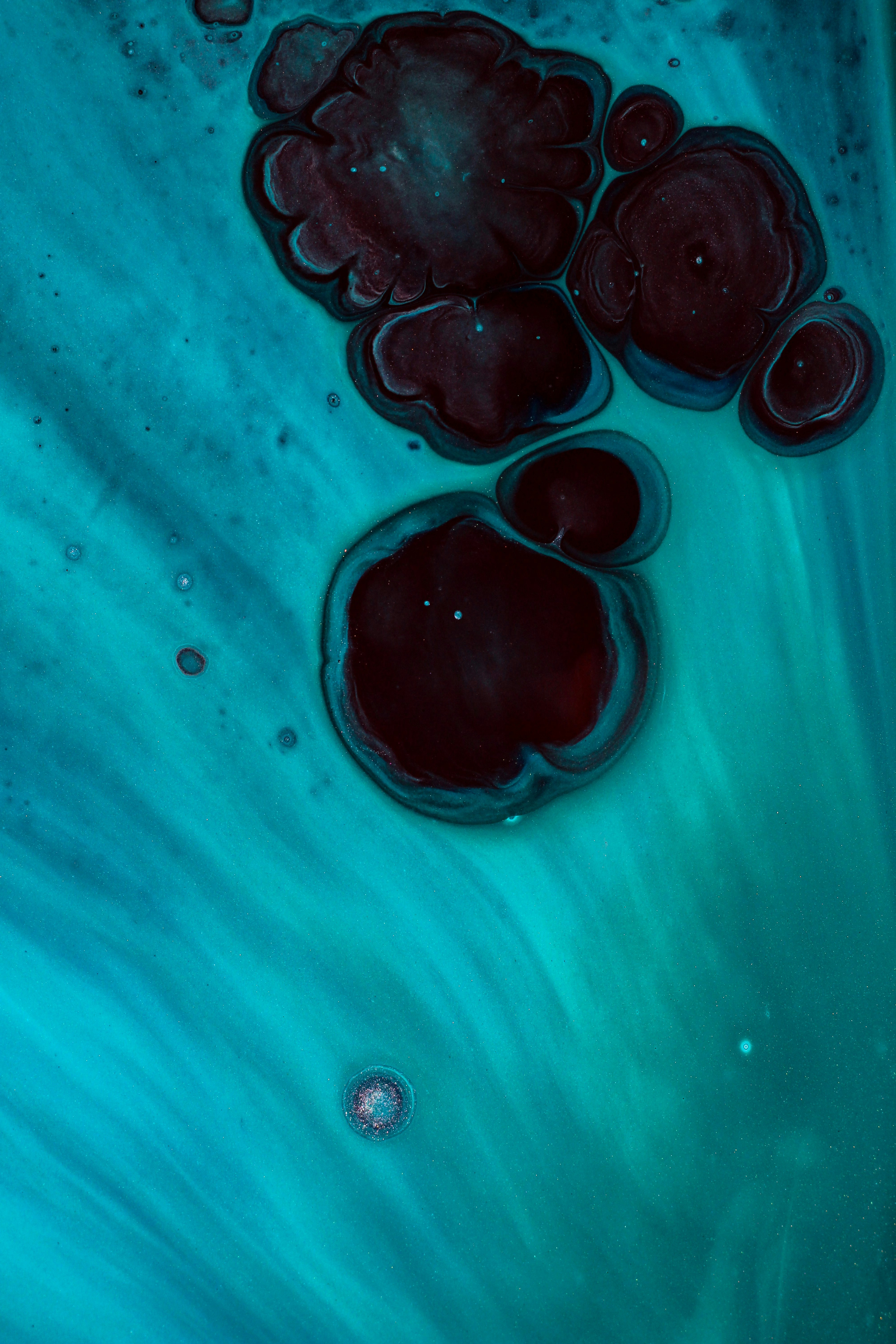 Photo by susan_wilkinson