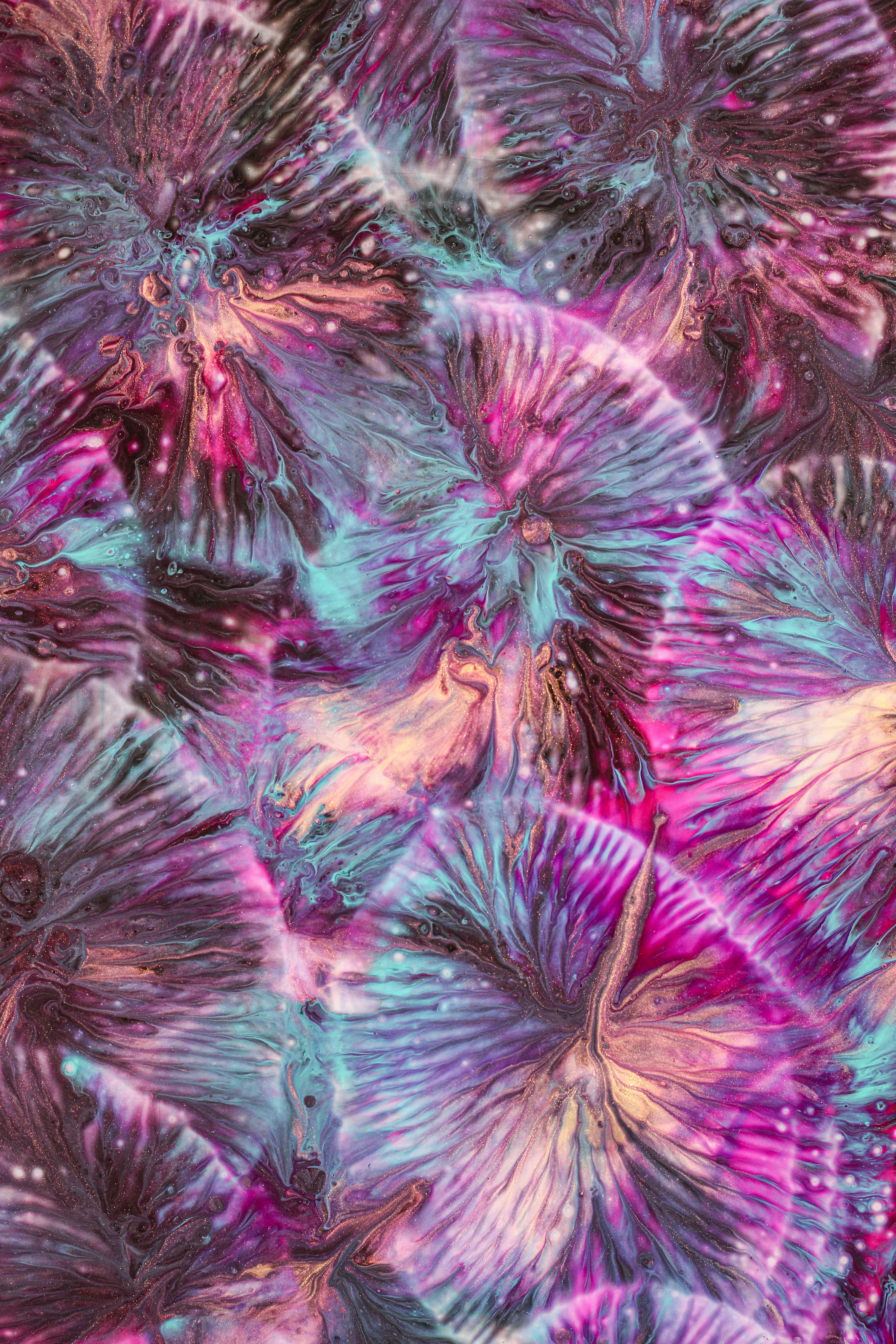 a close up of a purple and blue flower