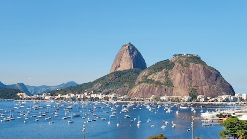 A large bay filled with numerous sailboats and a sprawling cityscape at the base of large, rocky hills. The hills, covered in greenery, rise dramatically with a clear blue sky overhead.